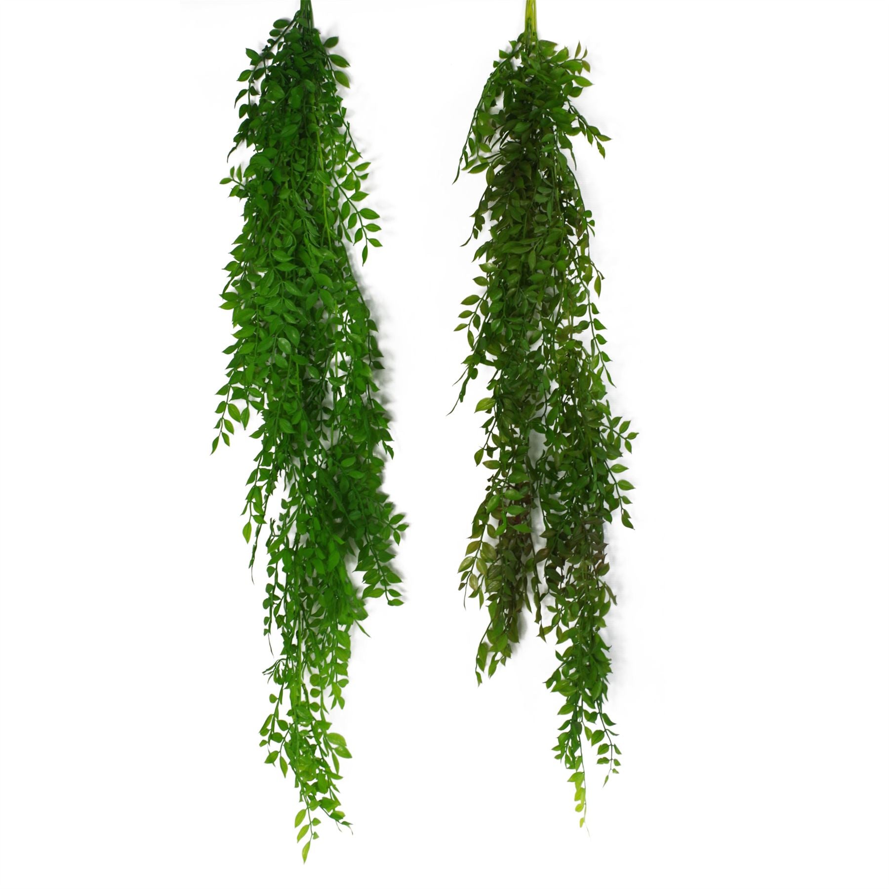 Leaf 100cm Artificial Hanging String of Pearls Fern Plant Dark Green, Bare Stem, Unpotted