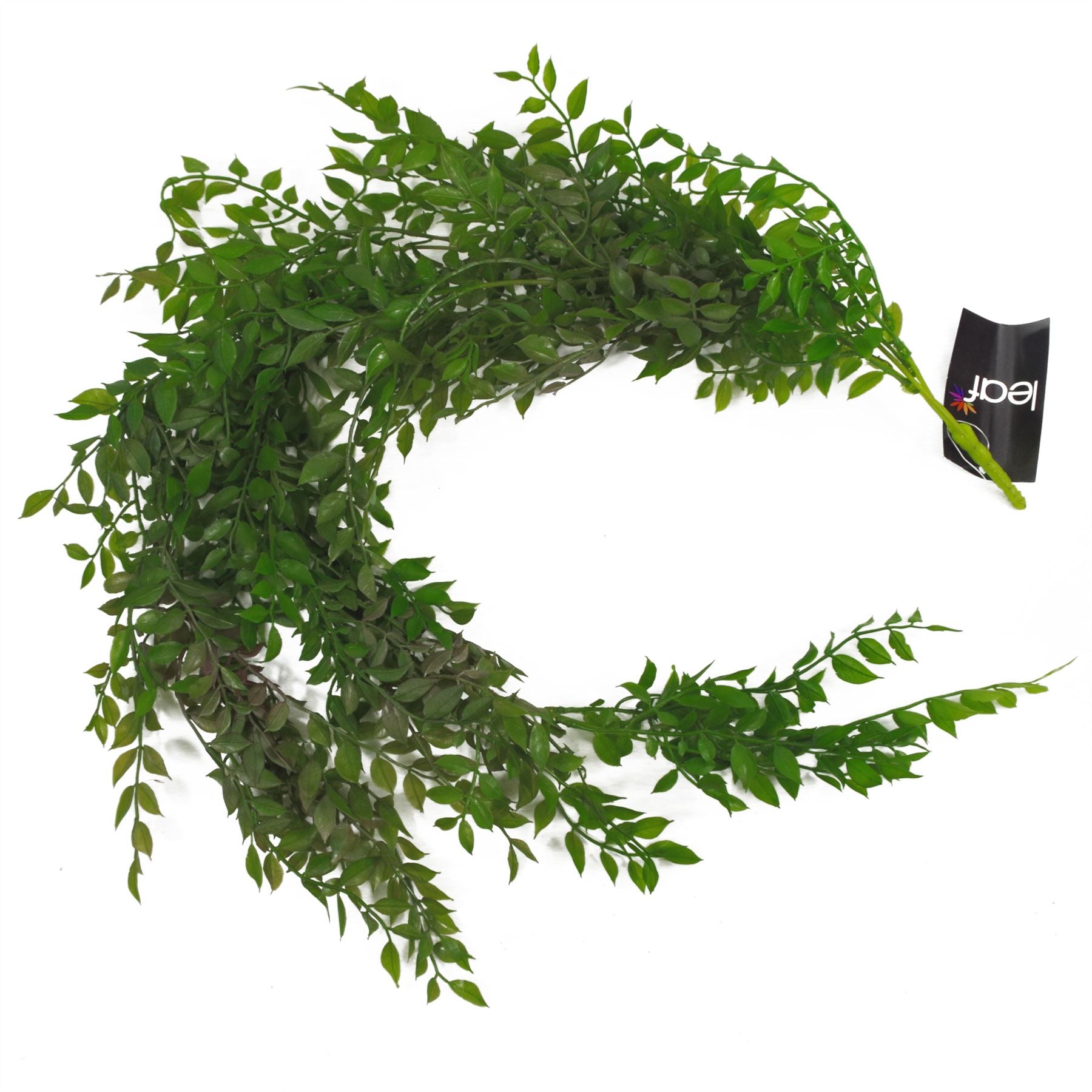 Leaf 100cm Artificial Hanging String of Pearls Fern Plant Dark Green, Bare Stem, Unpotted