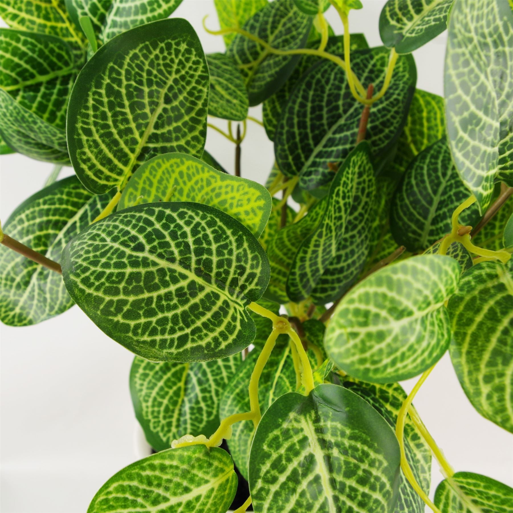 Leaf 40cm Artificial Variegated Pothos Plant in Small Black Plastic Pot
