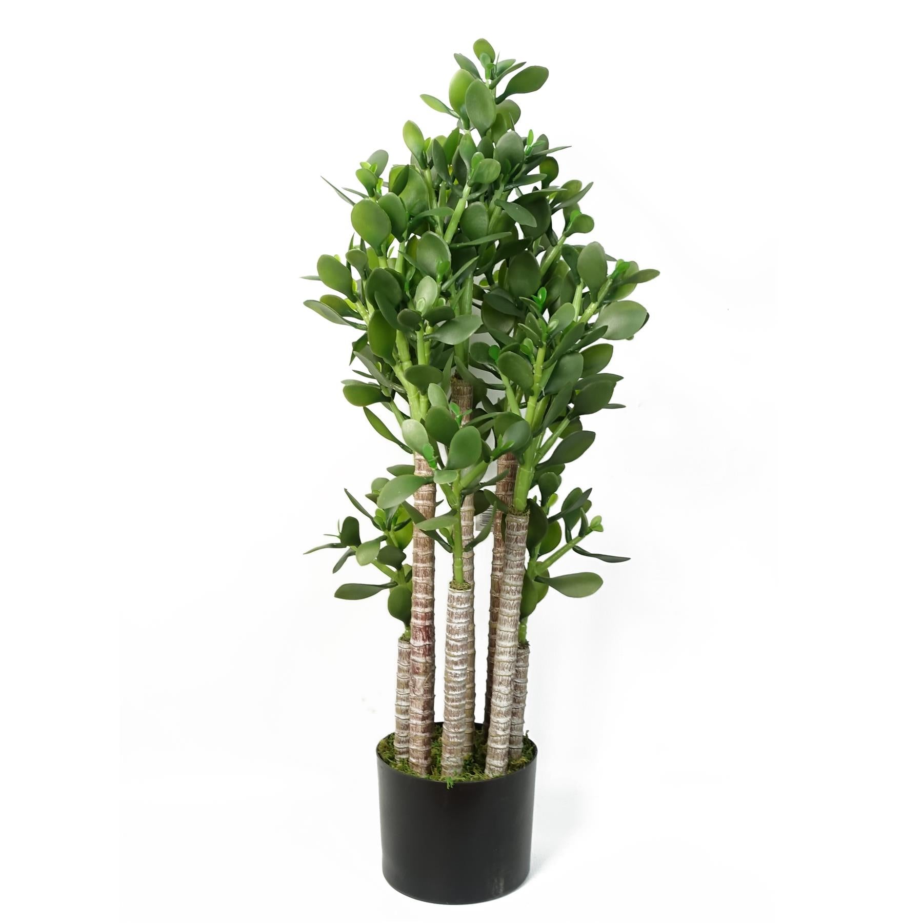 Leaf Artificial Deluxe 75cm Green Jade Plant in Weighted Plastic Pot