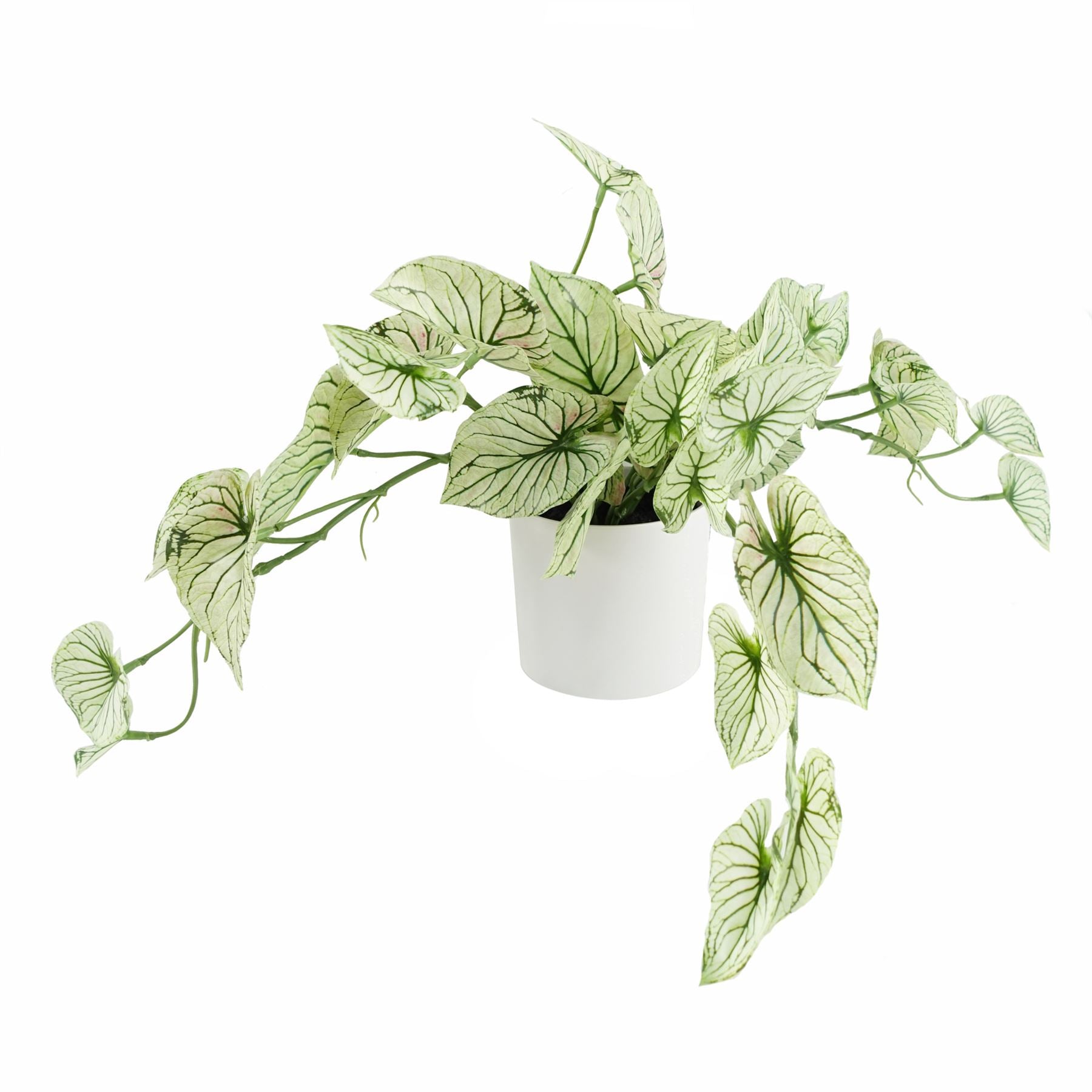 Leaf Artificial Variegated Trailing Alocasia Potted Plant 30cm