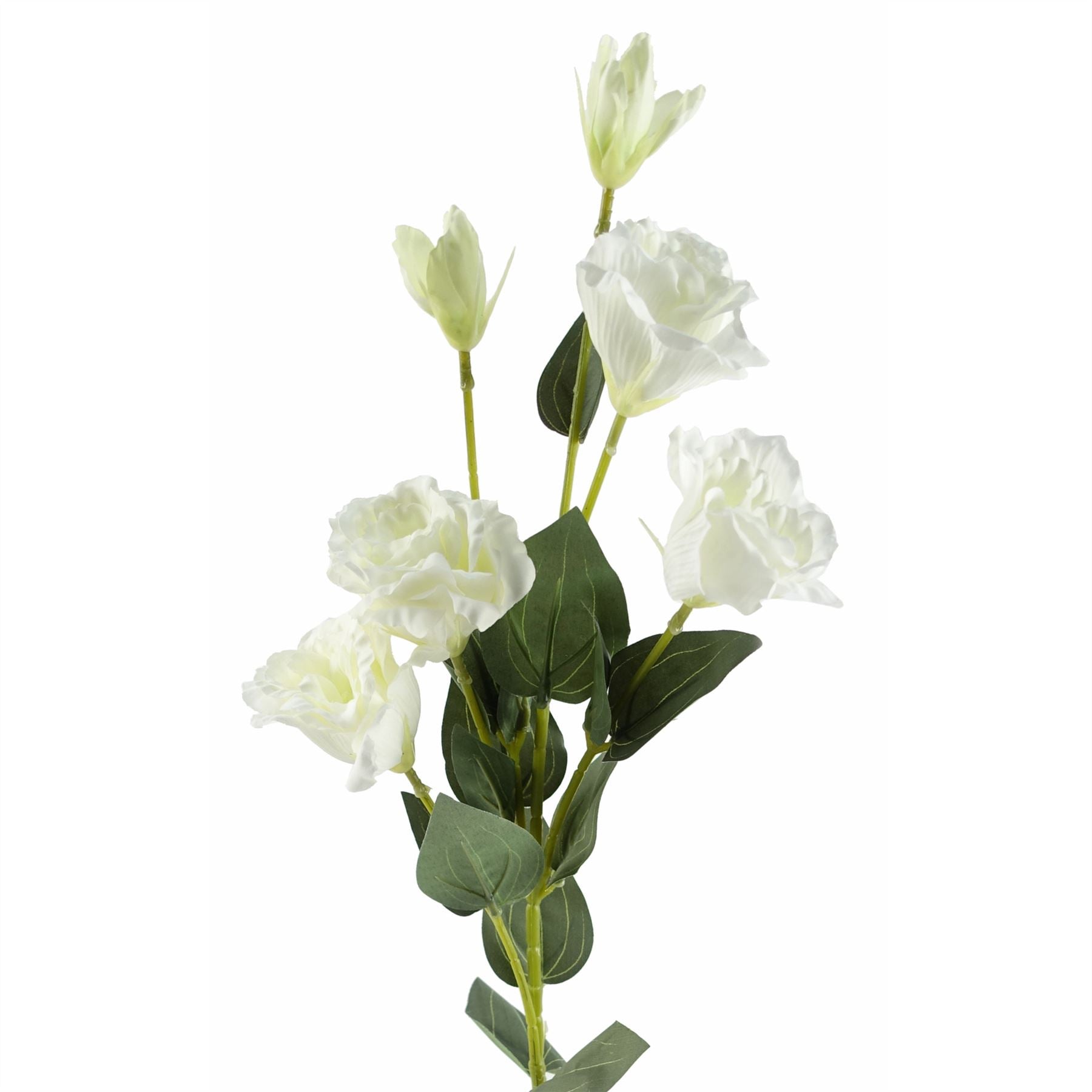 Leaf Pack of 6 White Artificial Wild Rose Stems, 80cm, 36 Flowers
