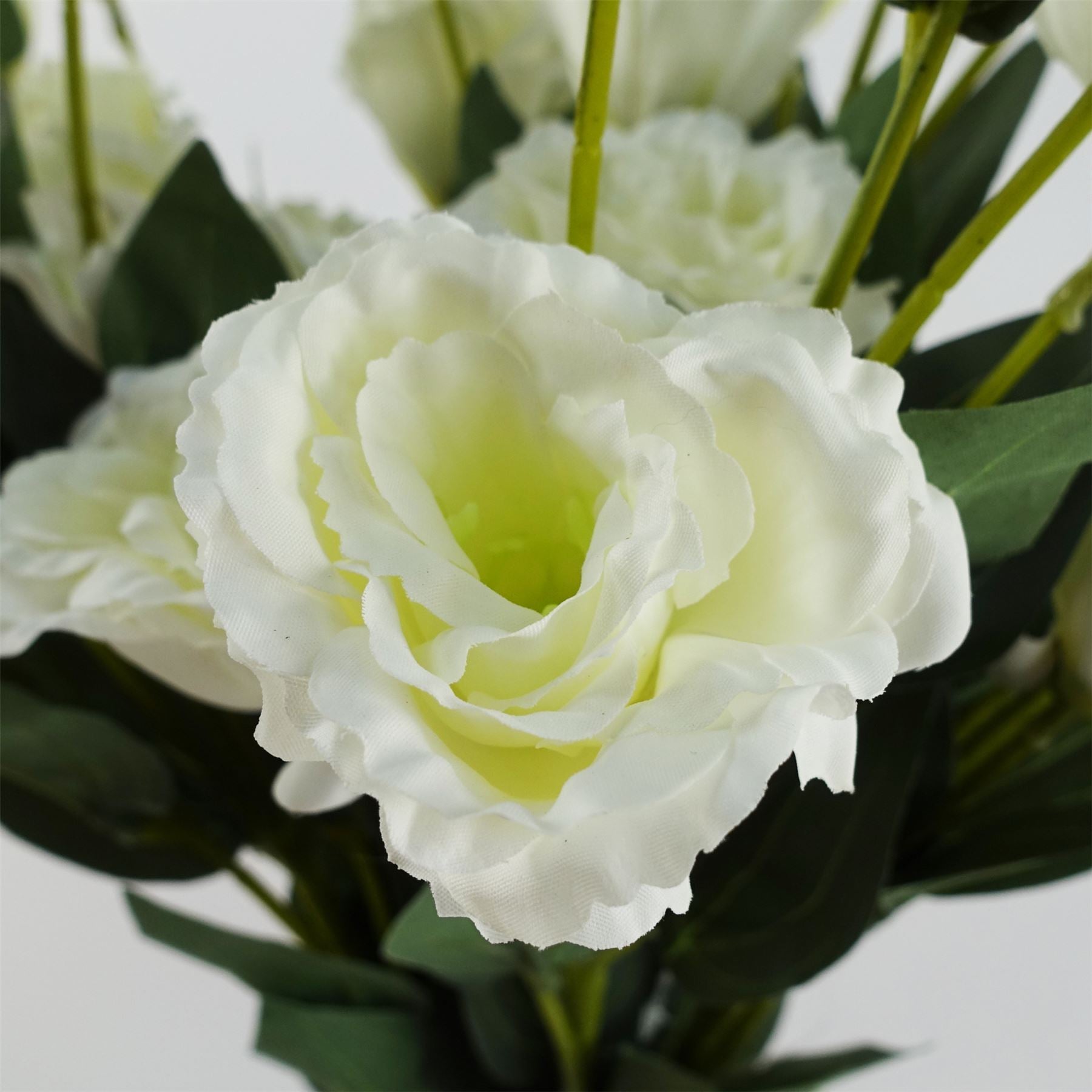 Leaf Pack of 6 White Artificial Wild Rose Stems, 80cm, 36 Flowers