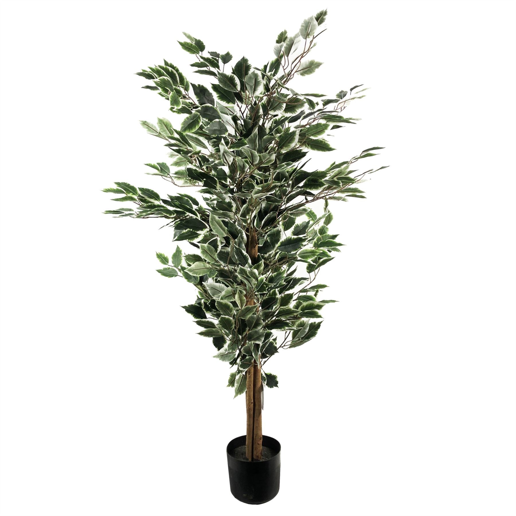 Leaf 130cm Artificial Variegated White and Green Bushy Ficus Tree in Plain Plastic Pot