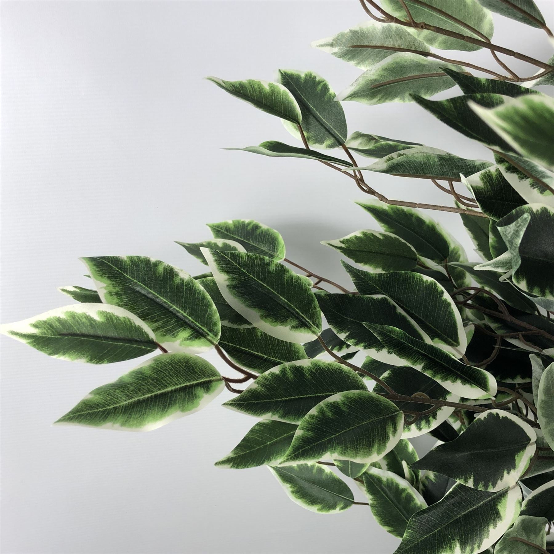 Leaf 130cm Artificial Variegated White and Green Bushy Ficus Tree in Plain Plastic Pot
