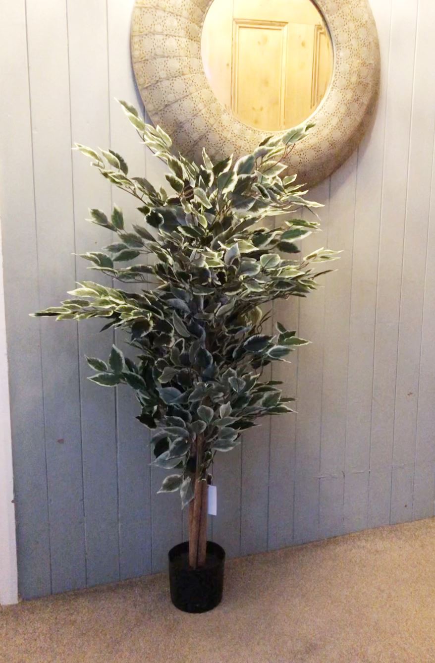 Leaf 130cm Artificial Variegated White and Green Bushy Ficus Tree in Plain Plastic Pot