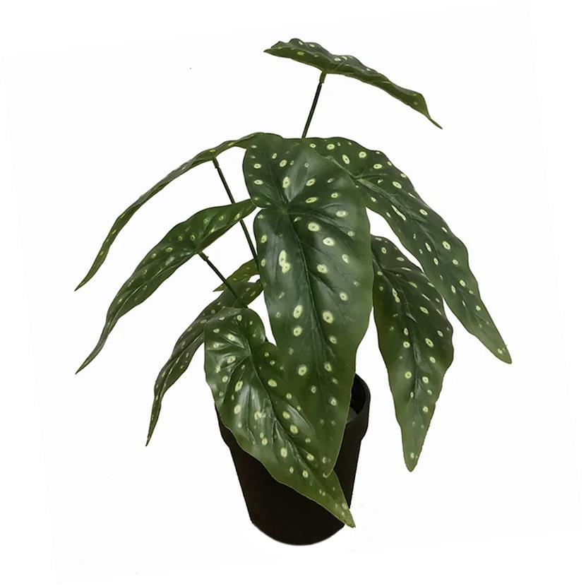 Leaf Artificial Begonia Plant 35cm Ready Potted in Moss Covered Pot