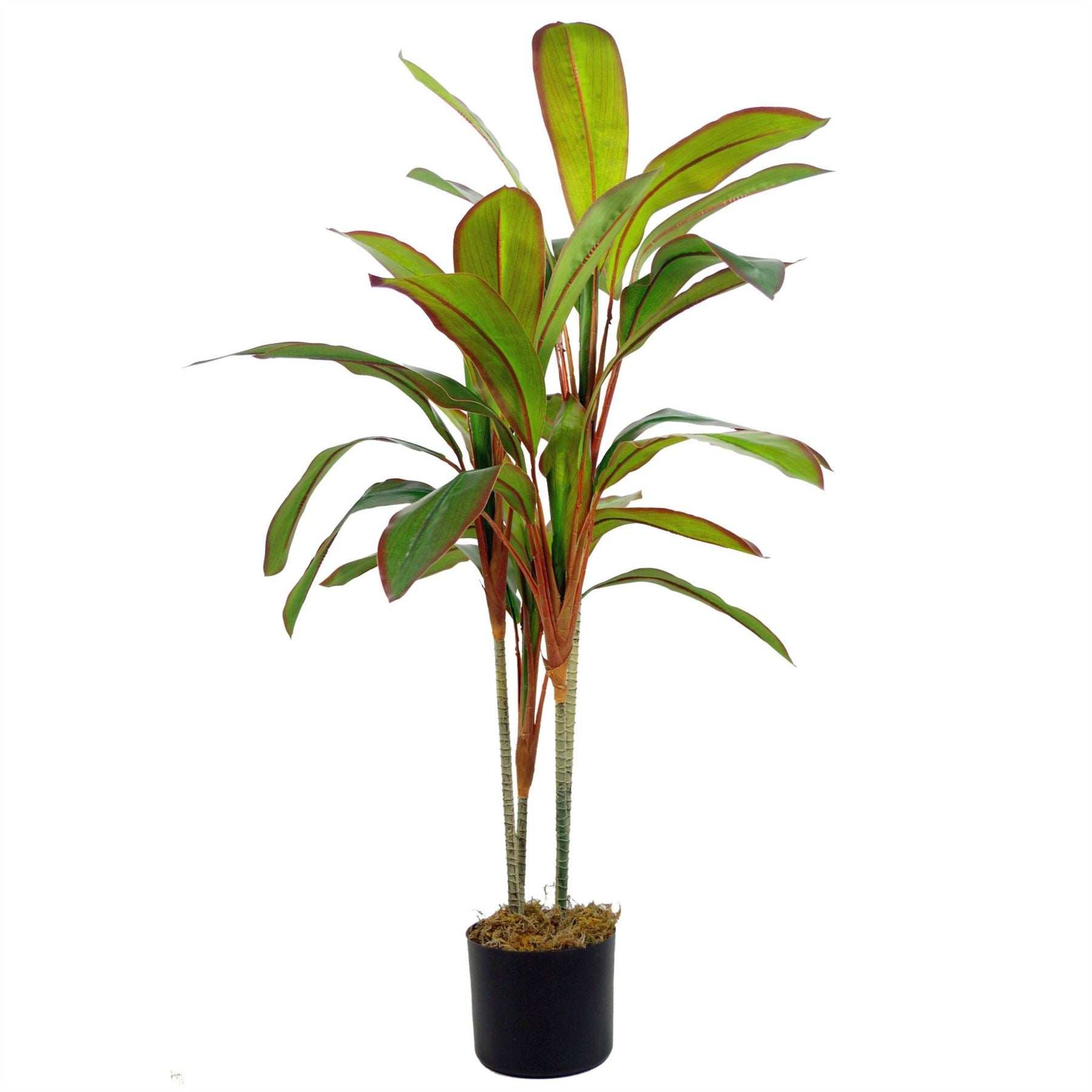 Leaf Design UK 100cm Artificial Dracaena Tropical Plant in Weighted Plastic Pot