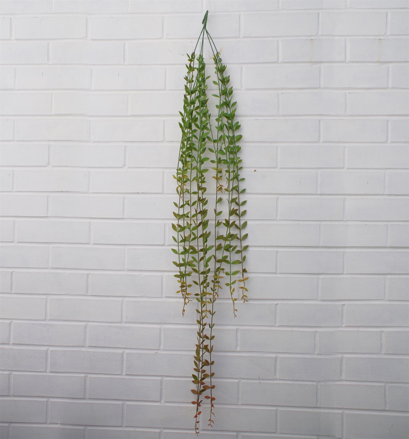 Leaf 120cm Artificial Hanging String of Pearls Plant Extra Long