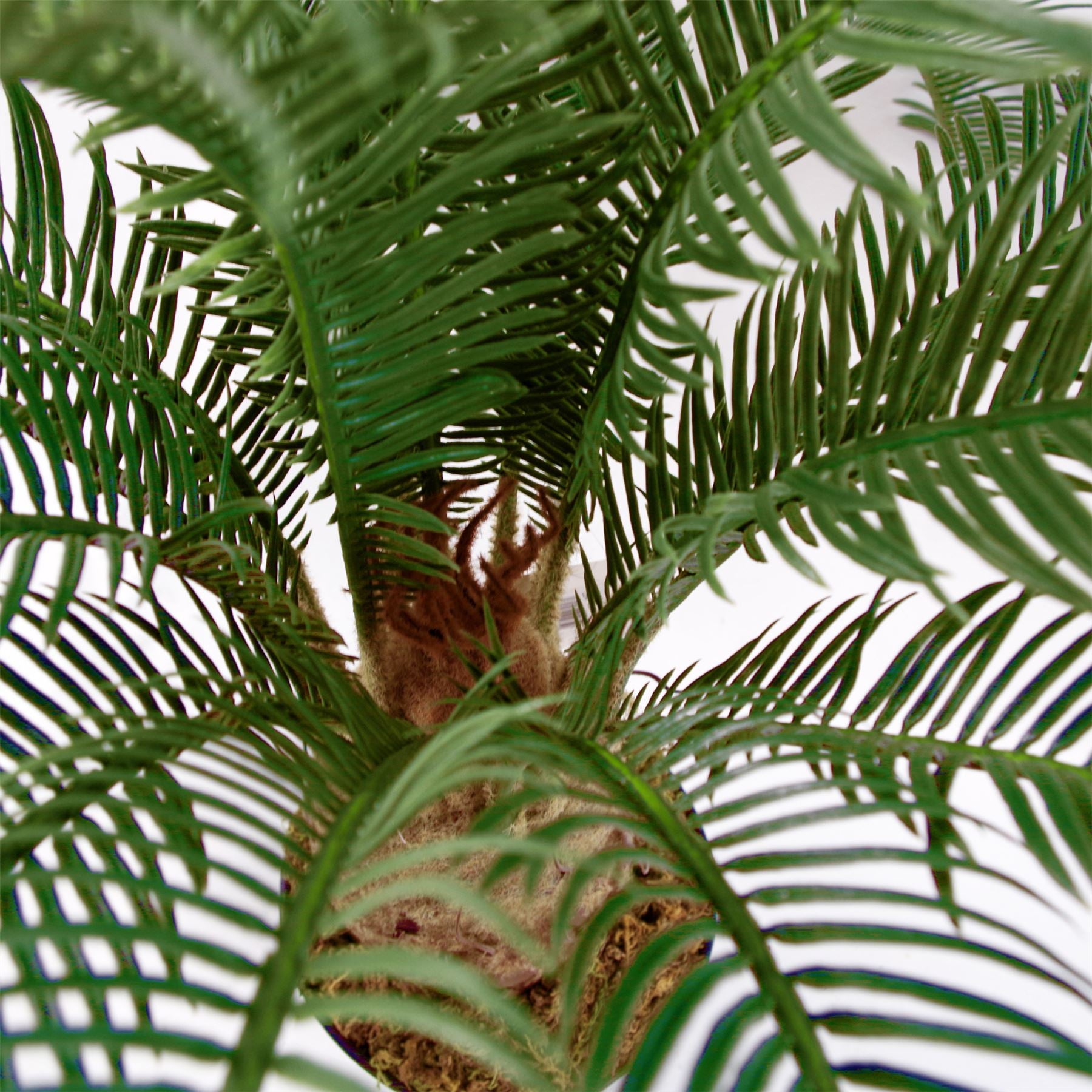 Leaf 60cm Artificial Cycas Palm Tropical Tree Potted Plant