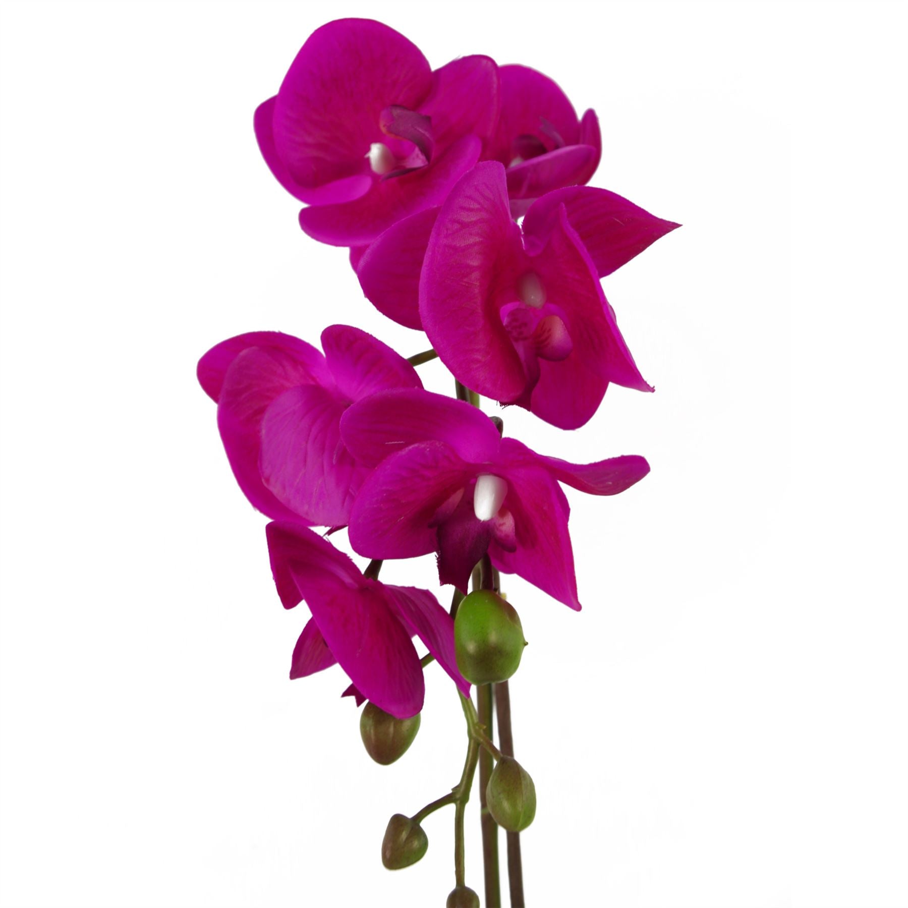 Leaf 46cm Artificial Orchid Plant Dark Pink/Gold, Real Touch Leaves, 6 Flowers, Decorative Pot