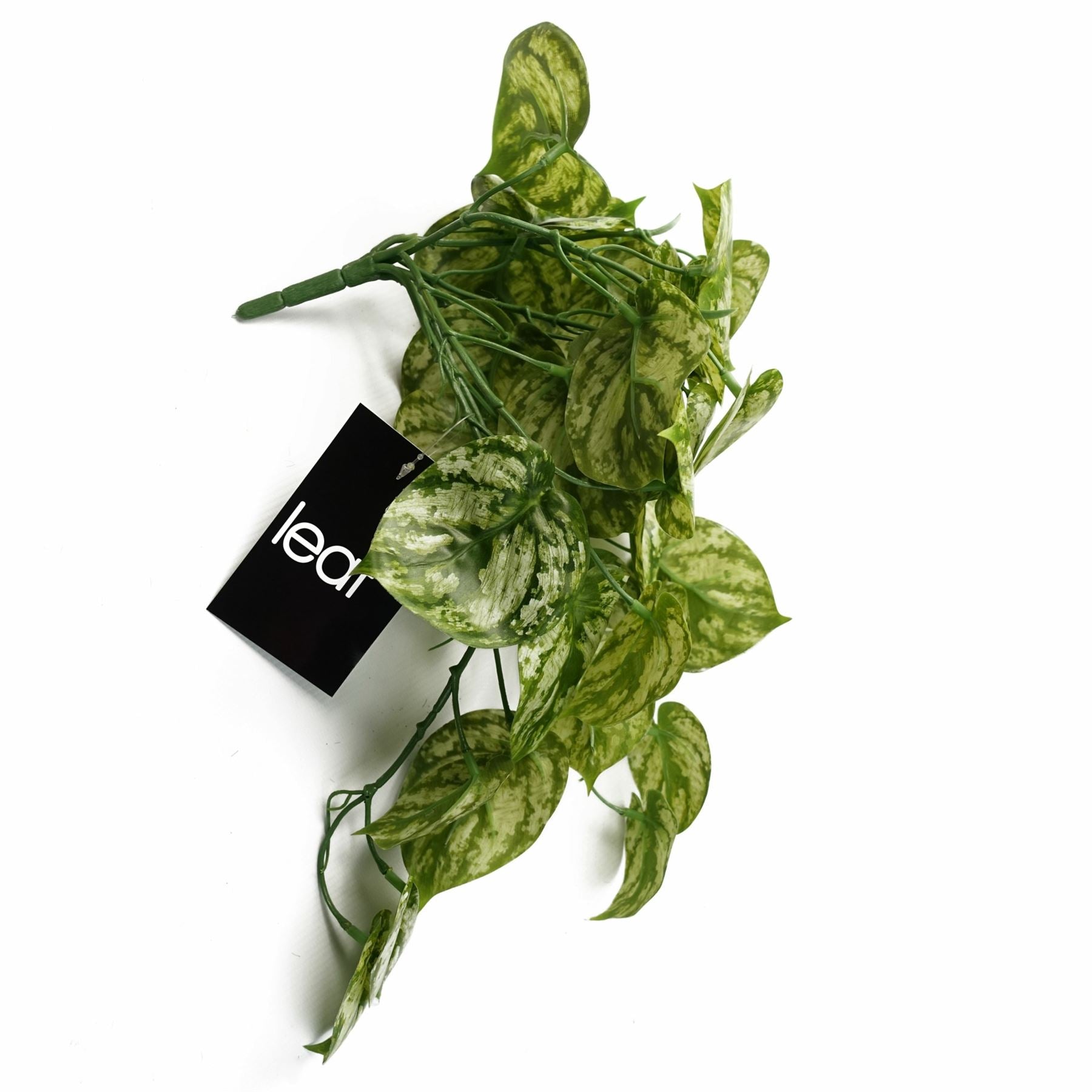 Leaf 35cm Artificial Trailing Light Plant, Realistic Natural Look, Bare Stem, No Planter Included