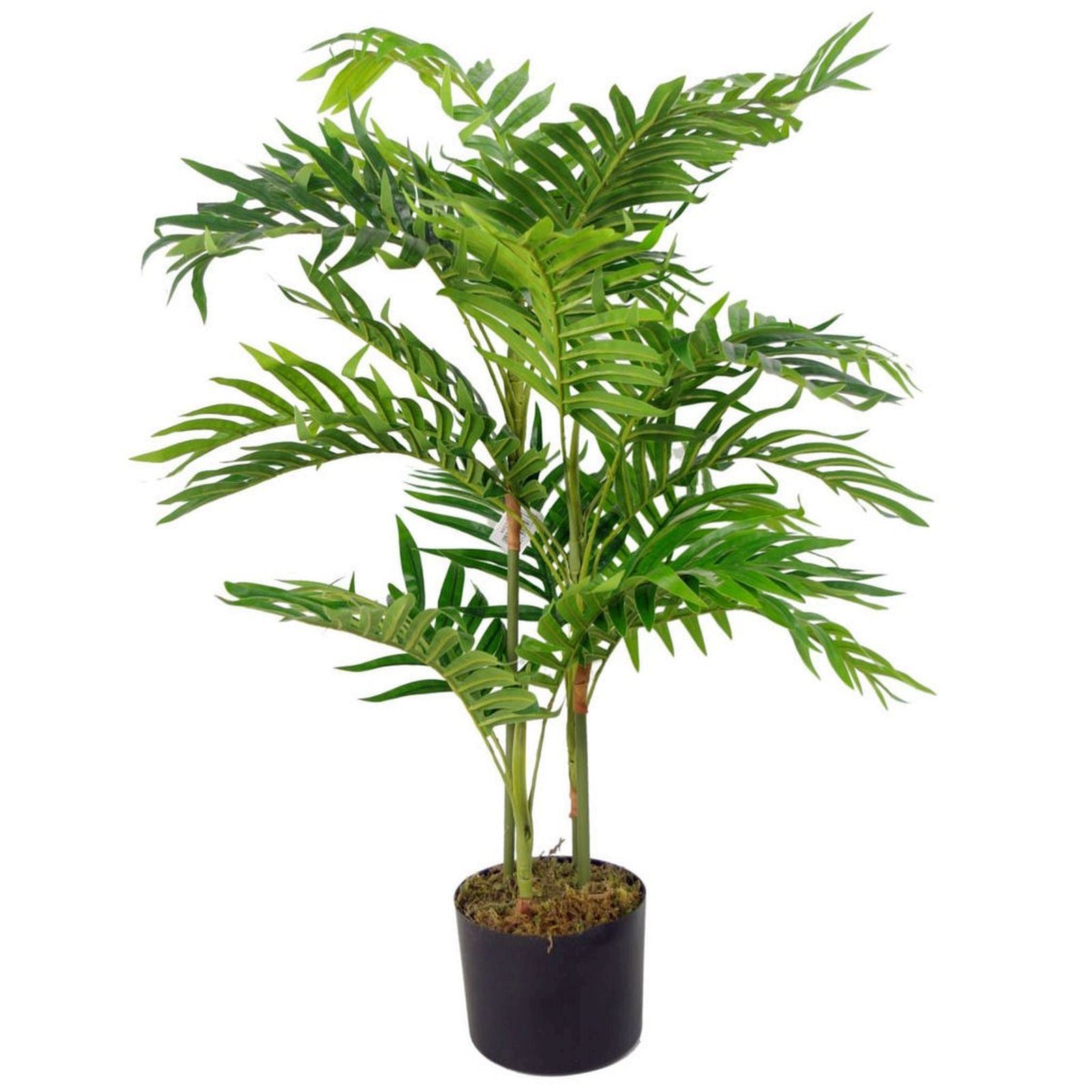 Leaf Design UK 80cm Realistic Artificial Areca Palm Tree in Black Plastic Pot