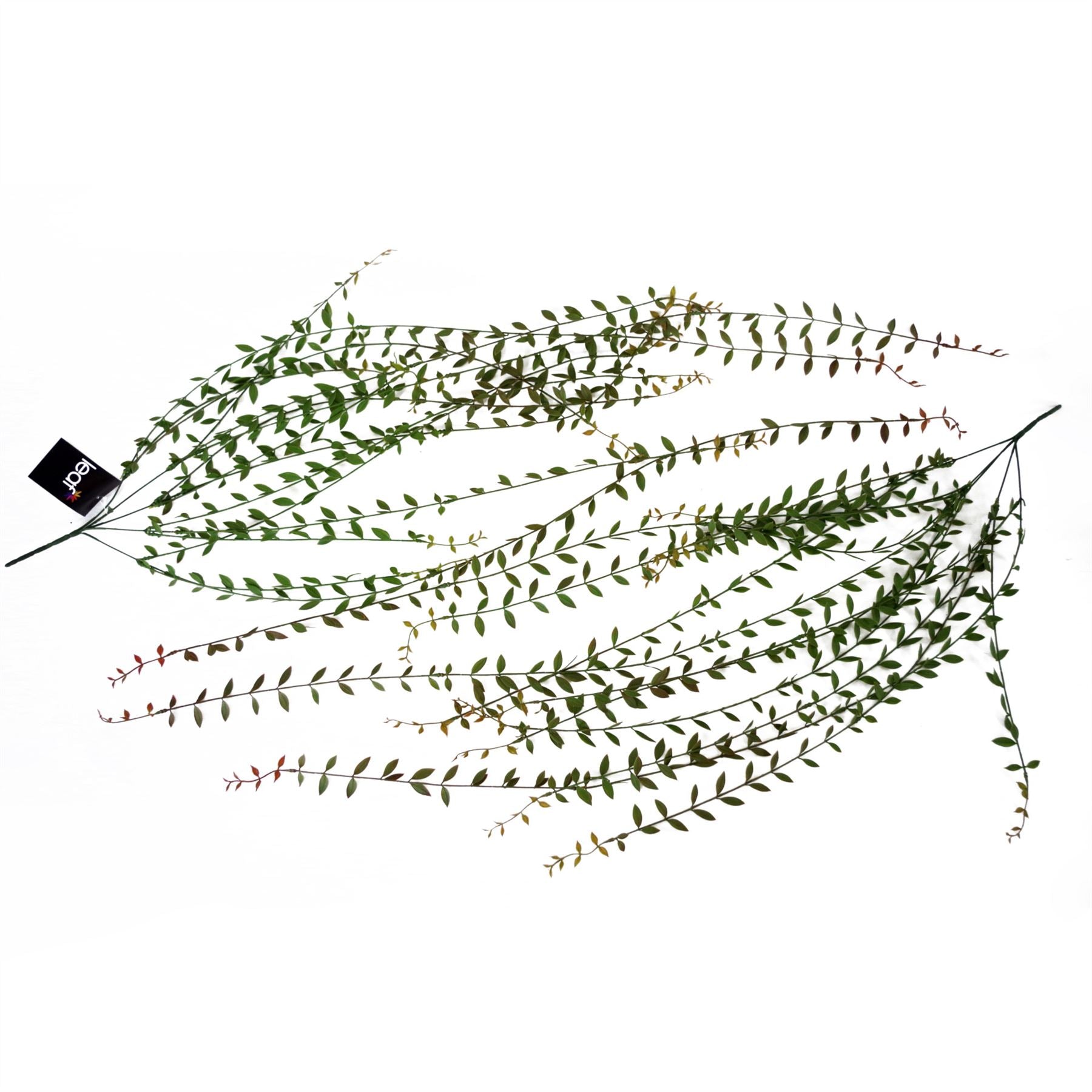 Leaf Pack of 12 Artificial Hanging String of Pearls Plants, 120cm