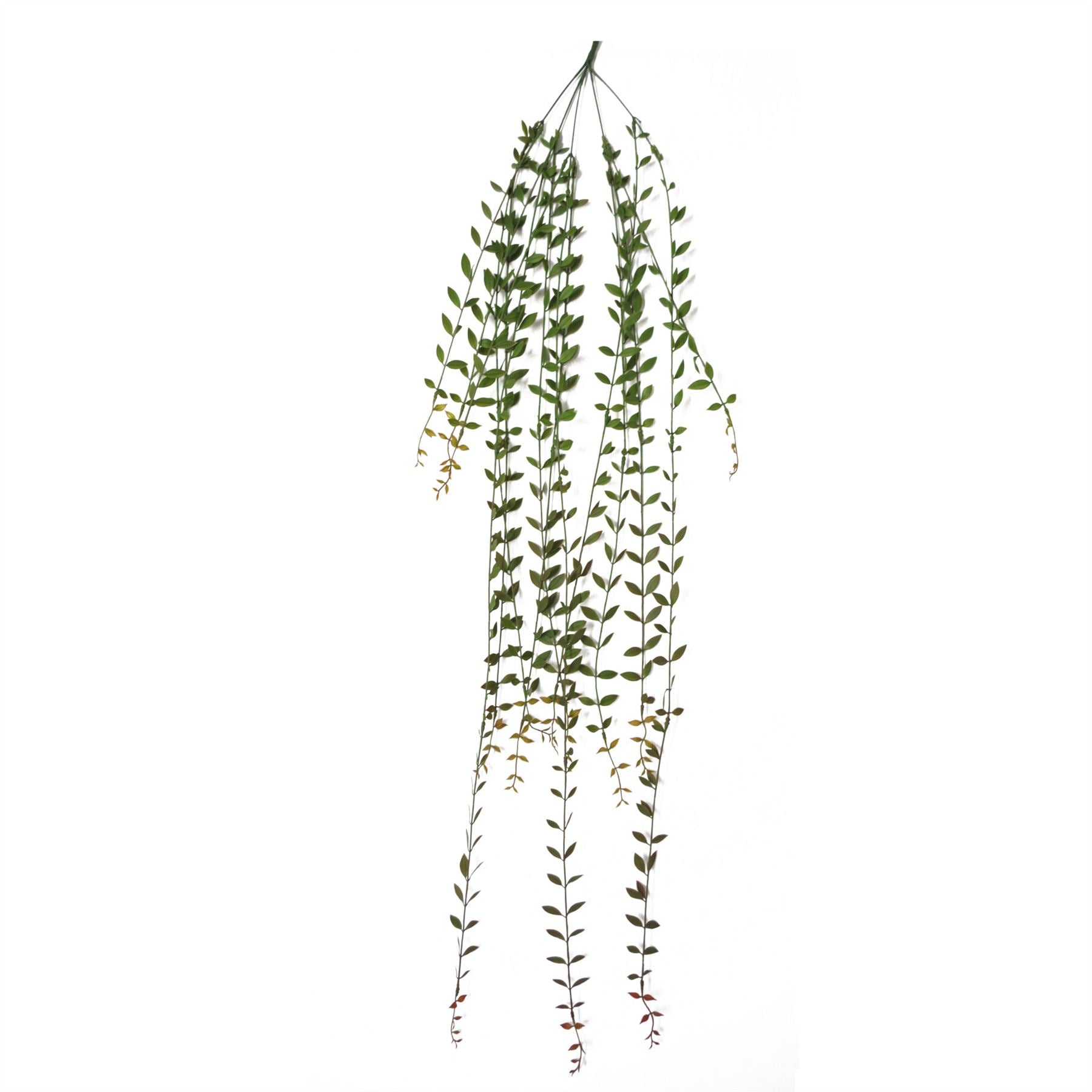 Leaf Pack of 12 Artificial Hanging String of Pearls Plants, 120cm
