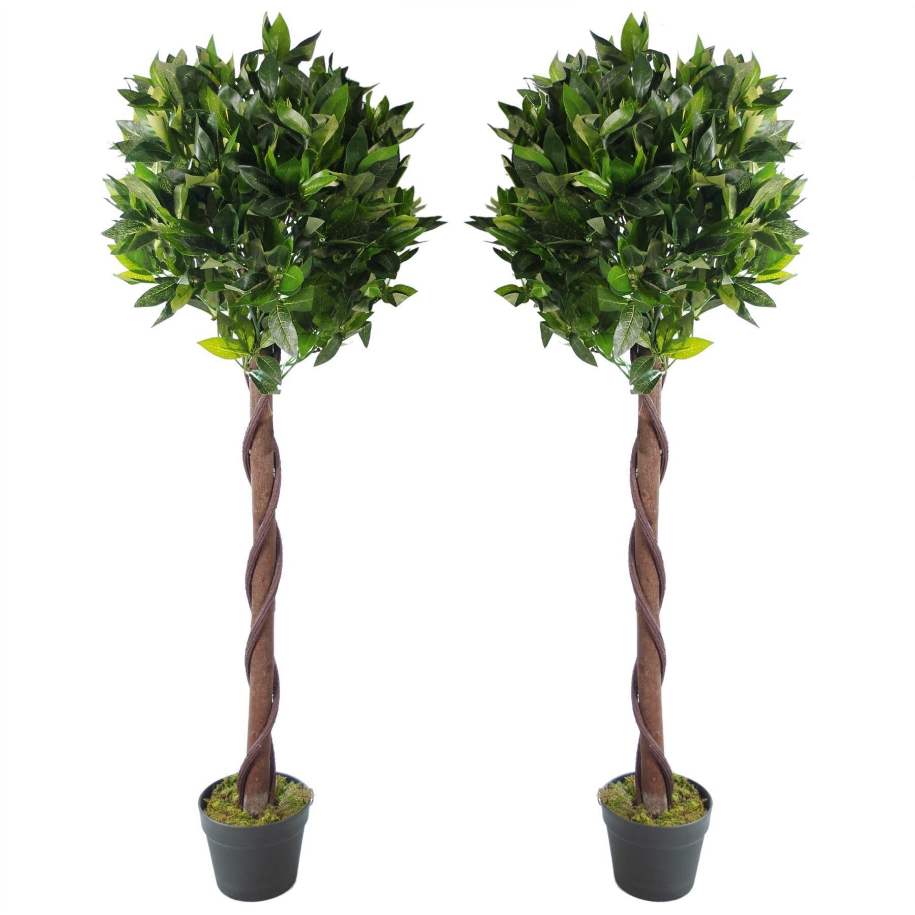 Leaf Pair of 120cm Artificial Twisted Stem Bay Laurel Ball Trees, Potted
