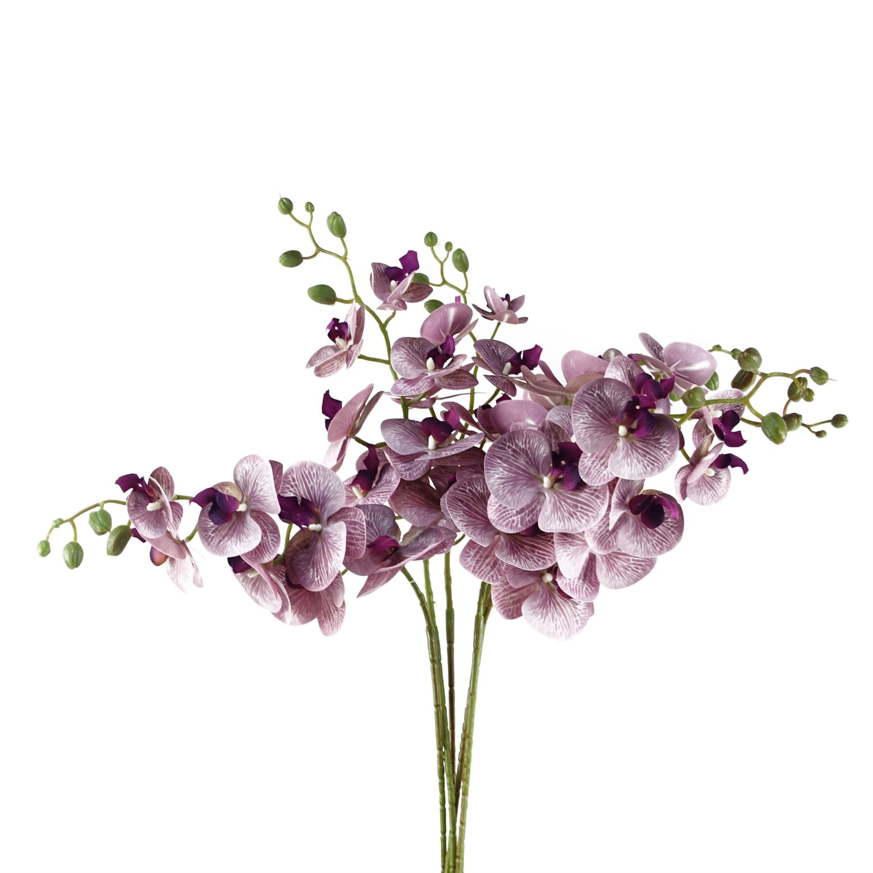 Leaf Pack of 6 Purple Phalaenopsis Orchid Artificial Flower Stems, 100cm Tall, 42 Flowers