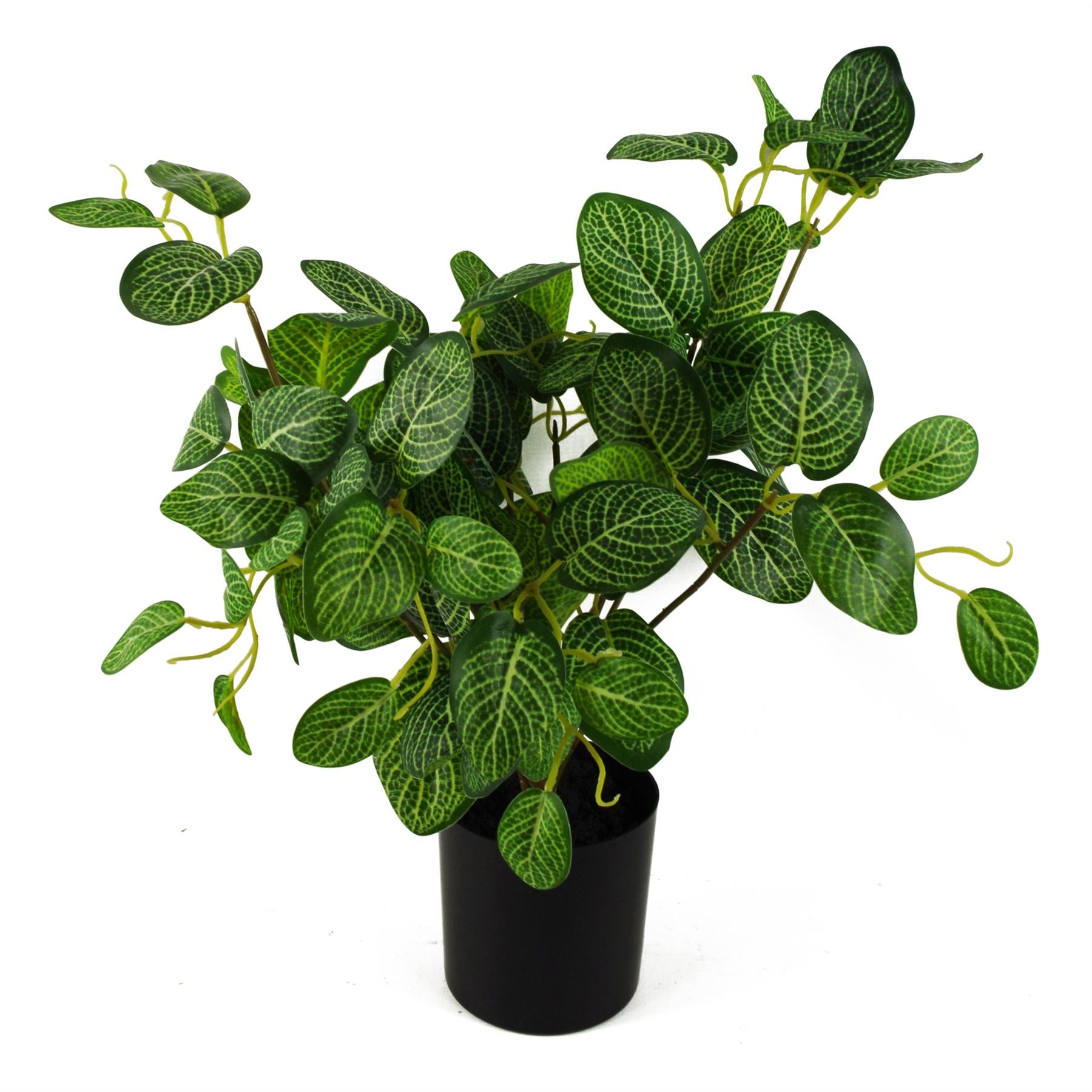Leaf 40cm Artificial Variegated Pothos Plant in Black Plastic Pot