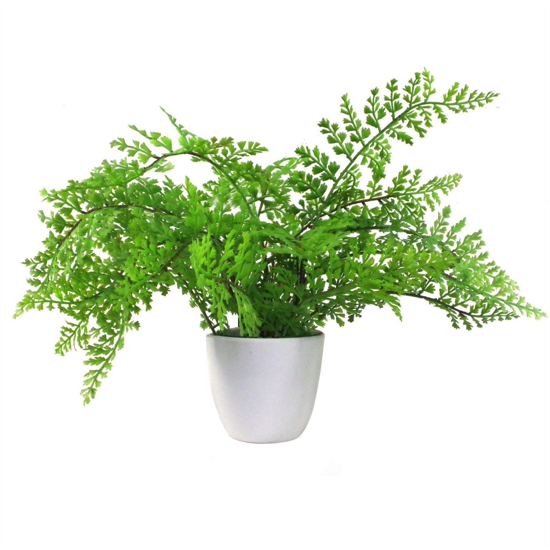 Leaf 30cm Artificial Potted Royal Fern Plant