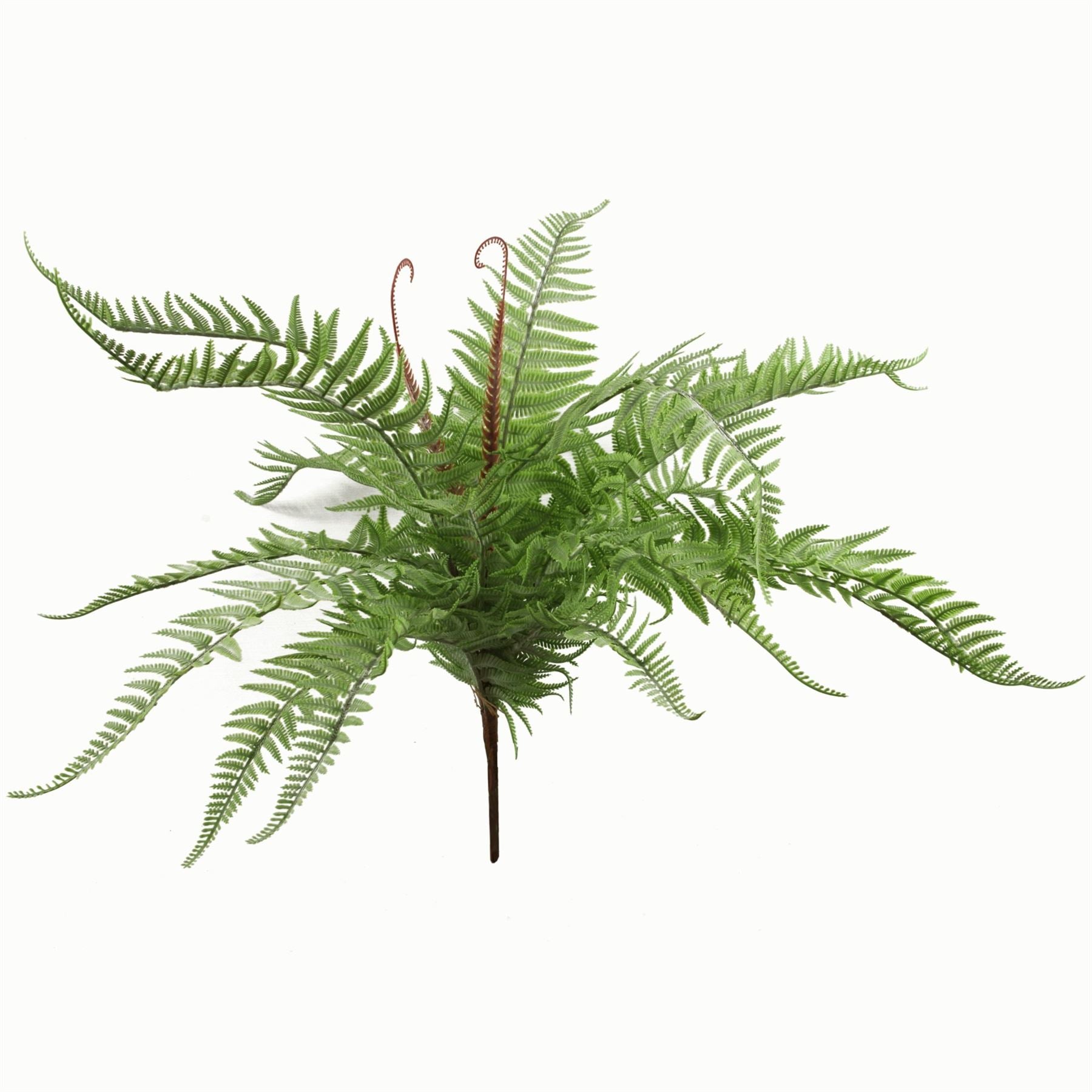 Leaf 60cm Artificial Bushy Dixie Wood Fern Light Green Bare Stem Unpotted Plant
