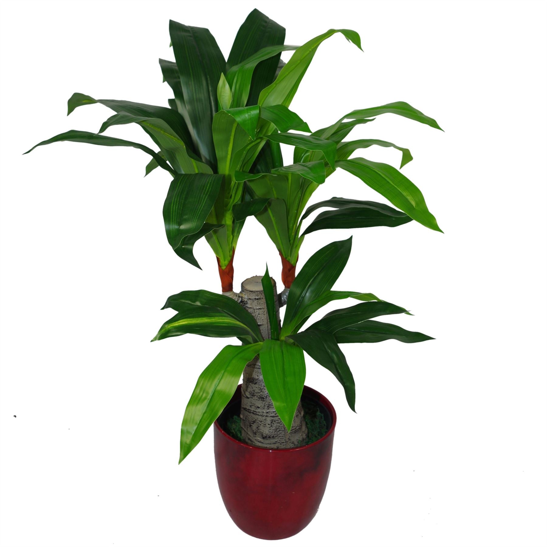 Leaf Design UK 75cm Artificial Dracaena Plant in Weighted Pot