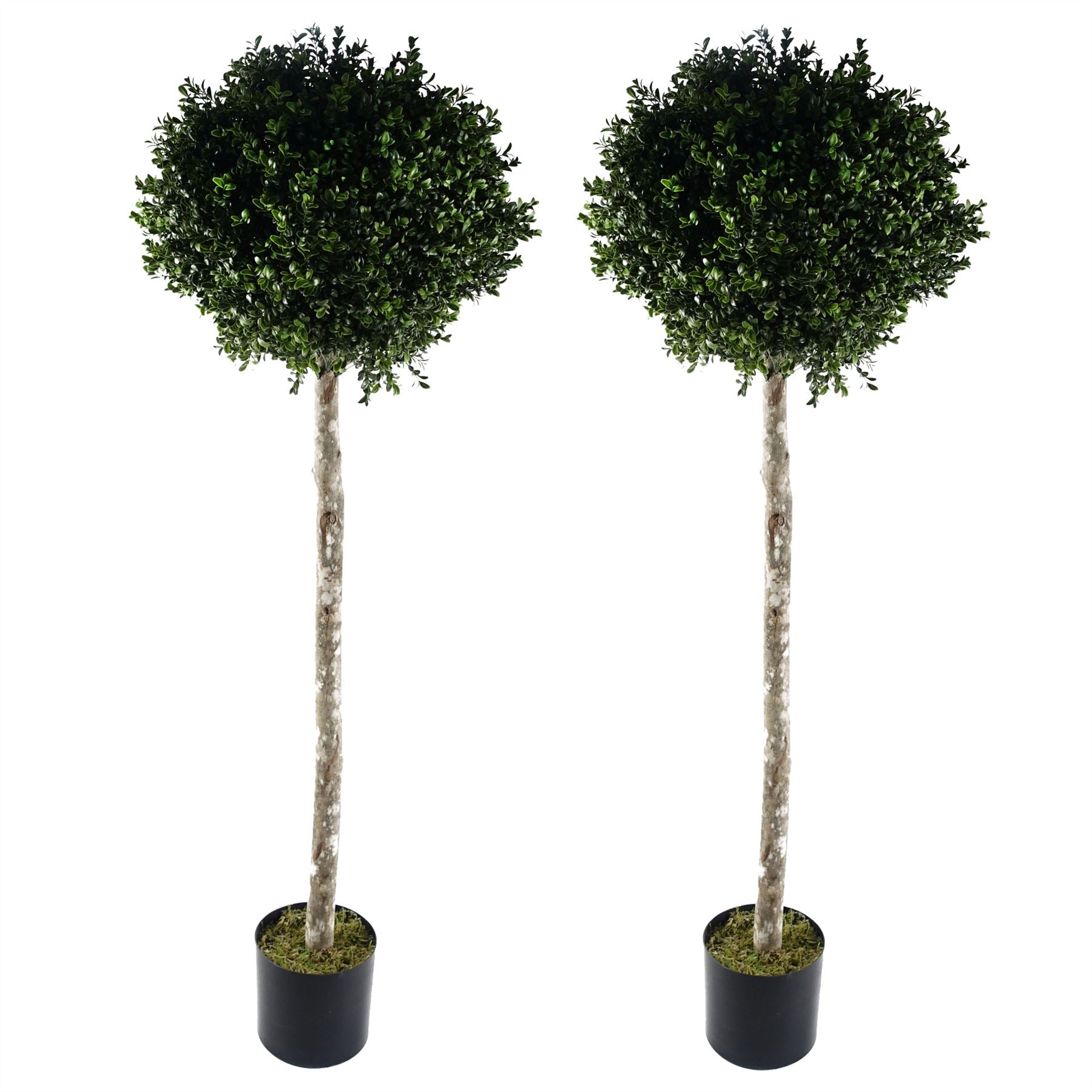 Leaf 140cm Pair of Artificial Buxus Ball Topiary Trees, UV Resistant Outdoor, Potted