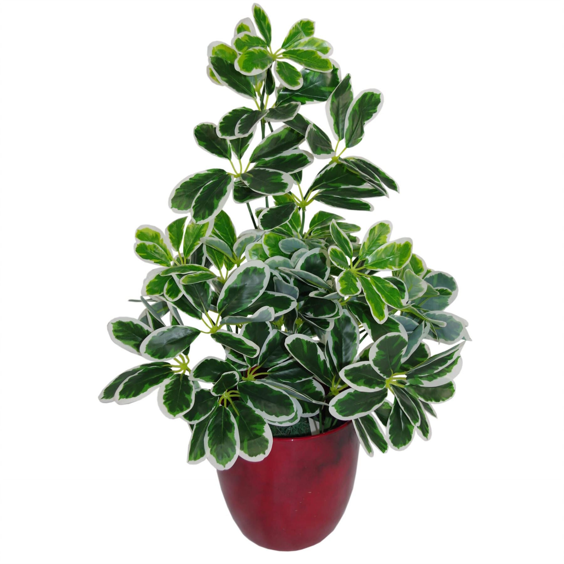 Leaf 55cm Variegated Artificial Schefflera Arboricola Evergreen Small Bush in Weighted Pot