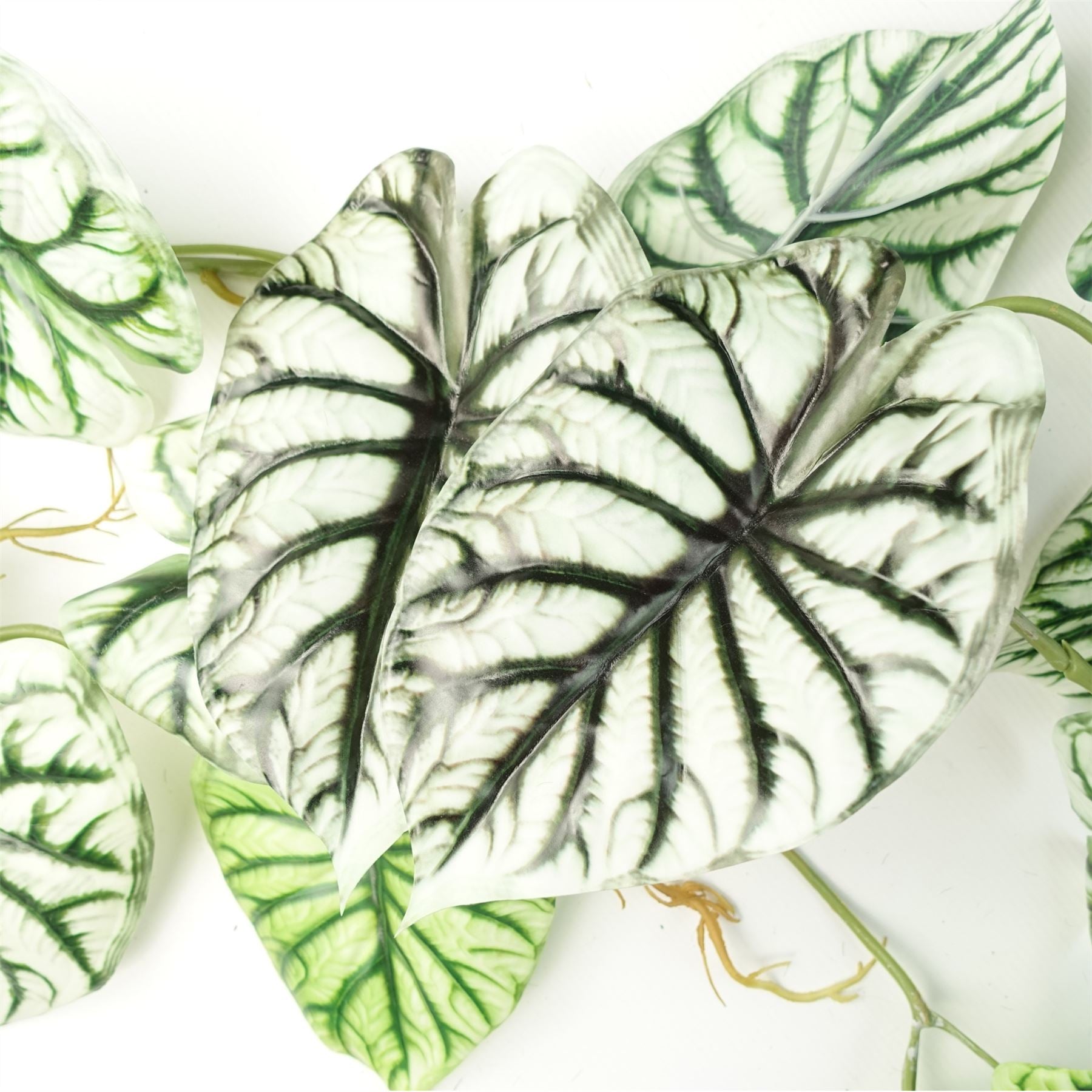 Pack of 6 Realistic Artificial Alocasia Dragon Scale Hanging Trailing Plants 120cm