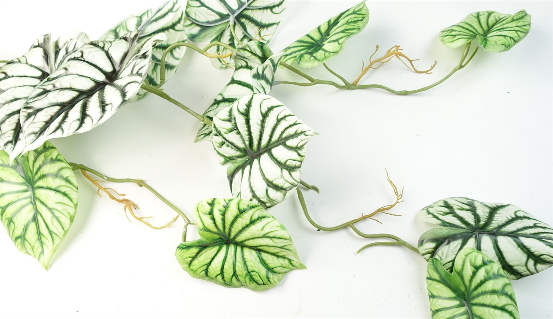 Pack of 6 Realistic Artificial Alocasia Dragon Scale Hanging Trailing Plants 120cm