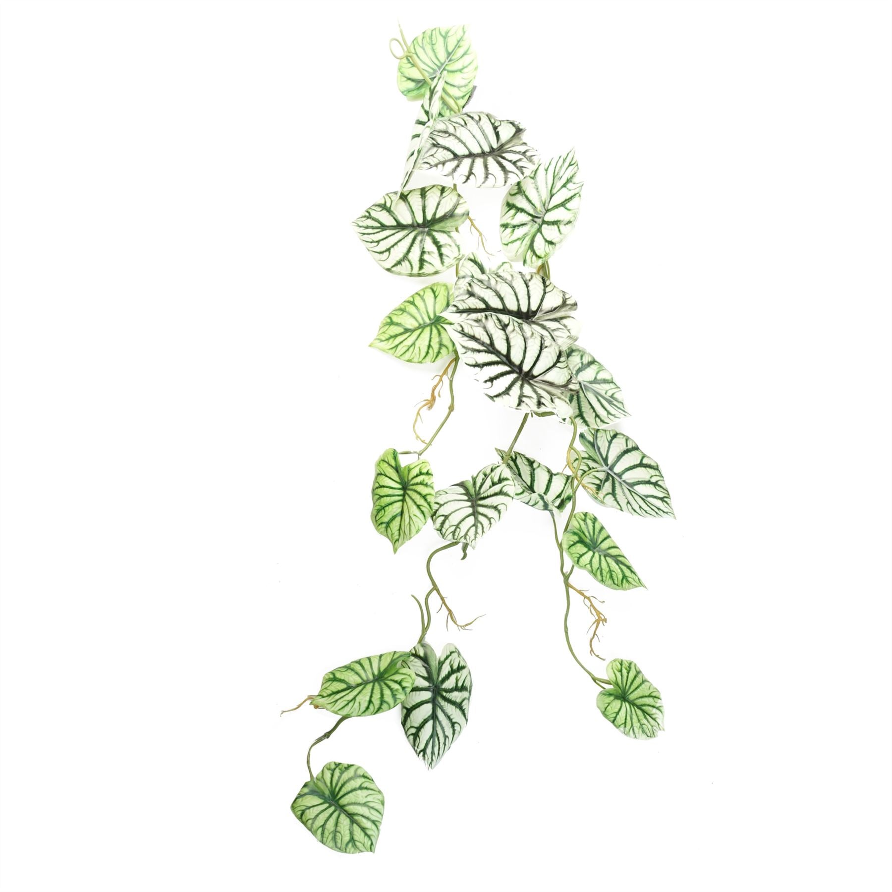 Pack of 6 Realistic Artificial Alocasia Dragon Scale Hanging Trailing Plants 120cm