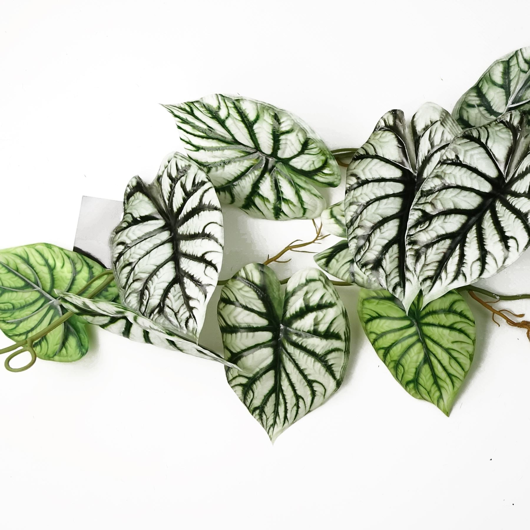Pack of 6 Realistic Artificial Alocasia Dragon Scale Hanging Trailing Plants 120cm