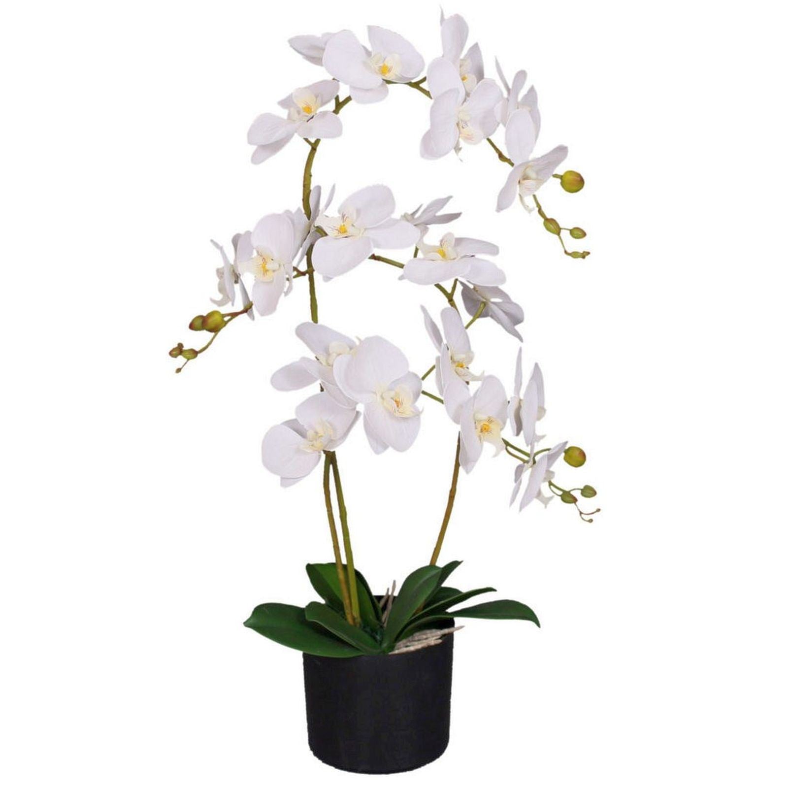 Leaf Design UK 65cm Realistic Artificial Phalaenopsis Orchid in Pot