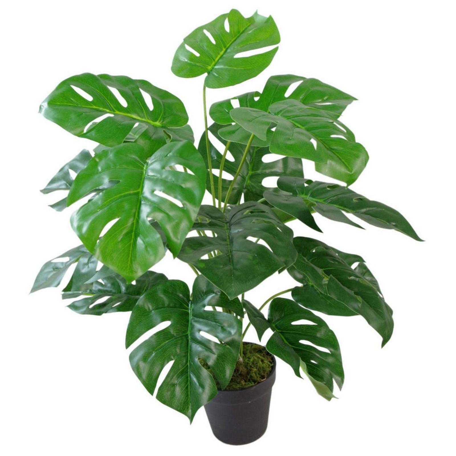 Leaf 60cm Realistic Artificial Monstera Cheese Plant with Moss Covered Pot