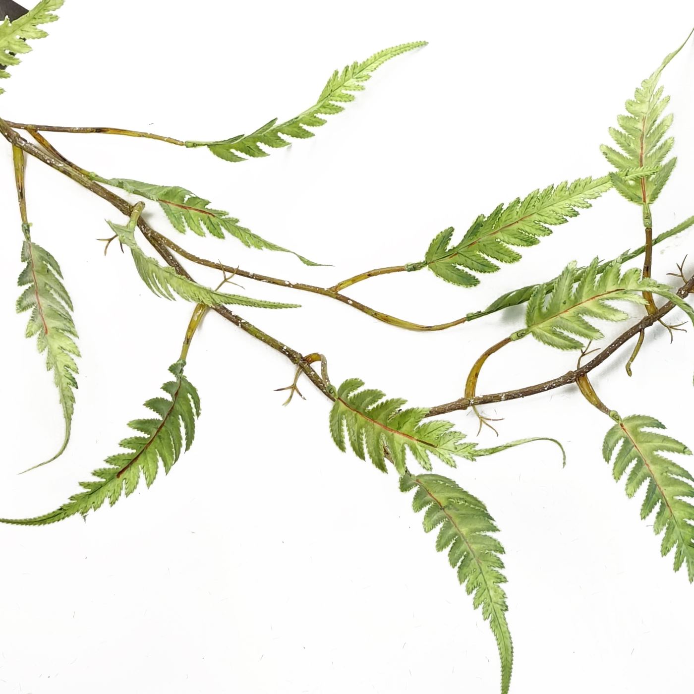 Leaf Pack of 6 Artificial Hanging Trailing Fern Plant, 125cm Long, Green, Large Leaf, Plastic Stems