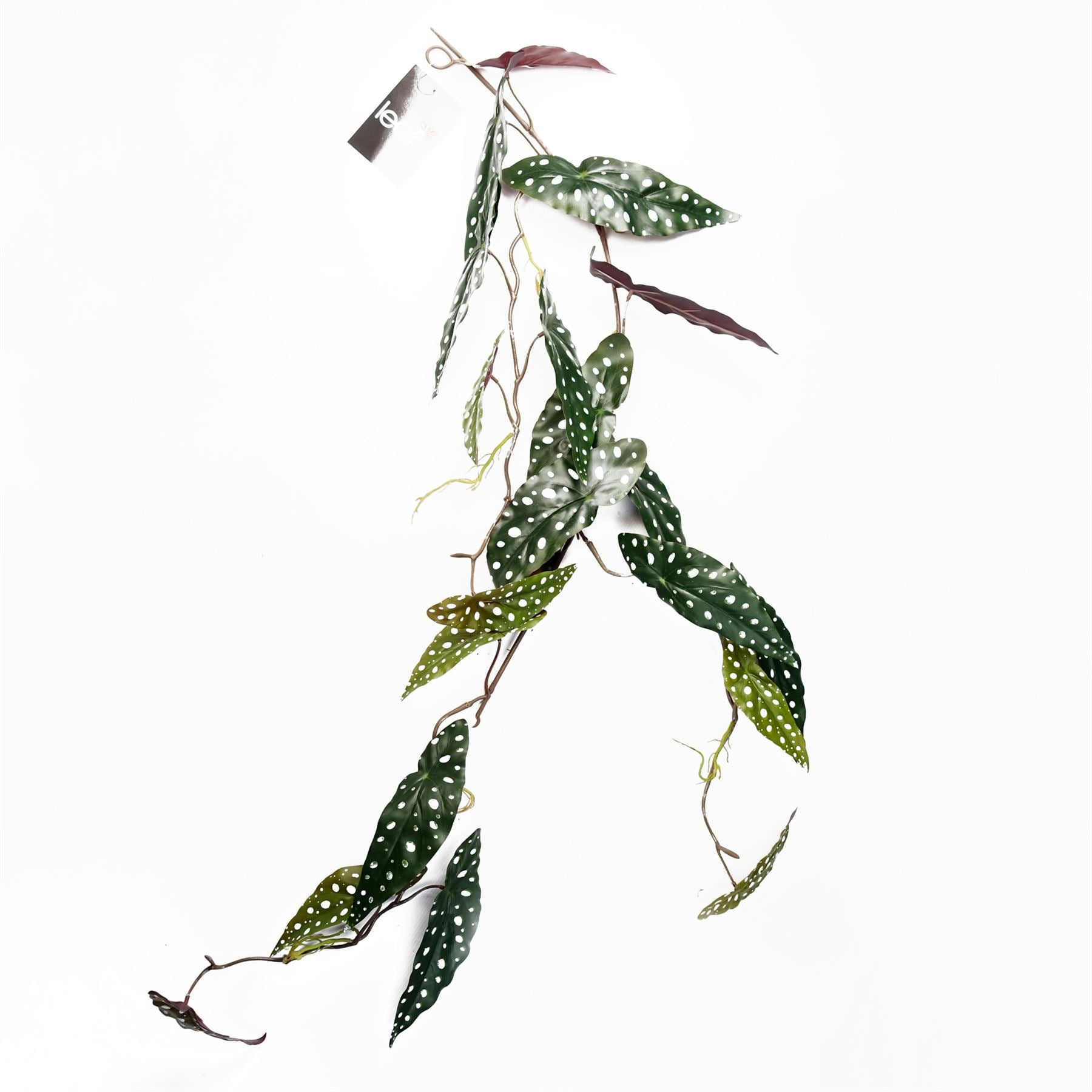 Leaf Pack of 6 Artificial Hanging Trailing Begonia Maculata Spotted Plant