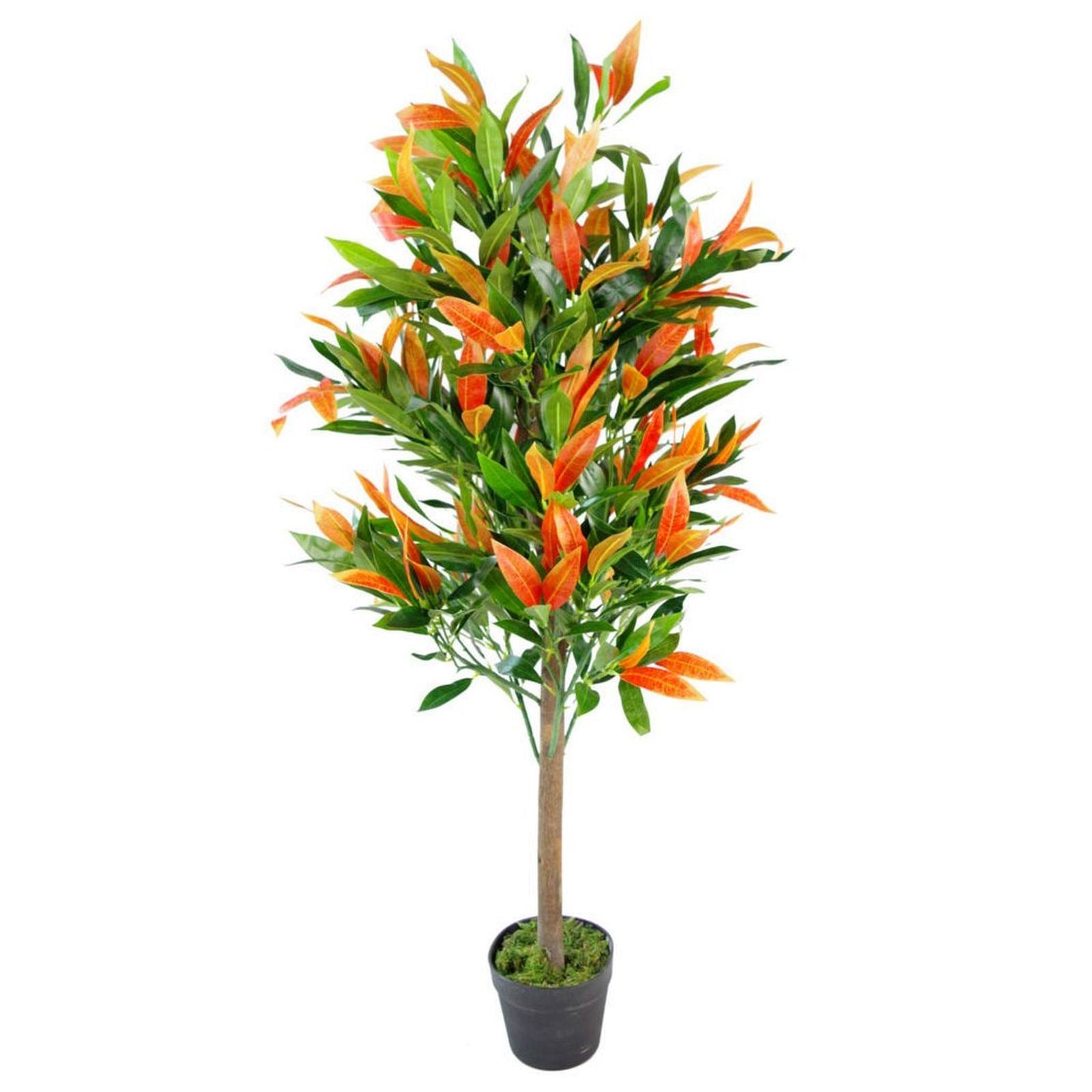 Leaf Design UK 130cm Realistic Red Robin Artificial Ficus Tree with Moss-Covered Pot