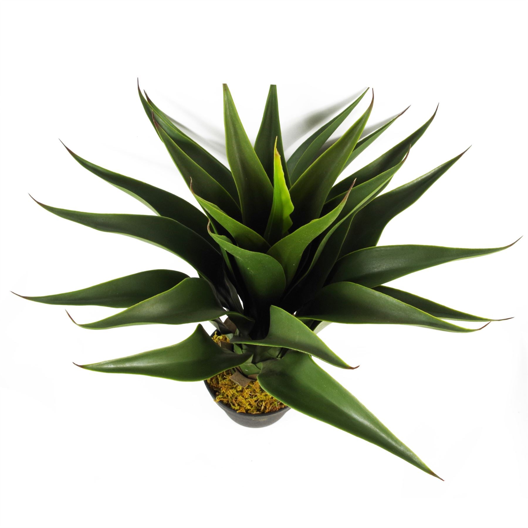 55cm Artificial Tropical Yucca Plant in Plain Plastic Pot, Fully Assembled by Leaf Design UK