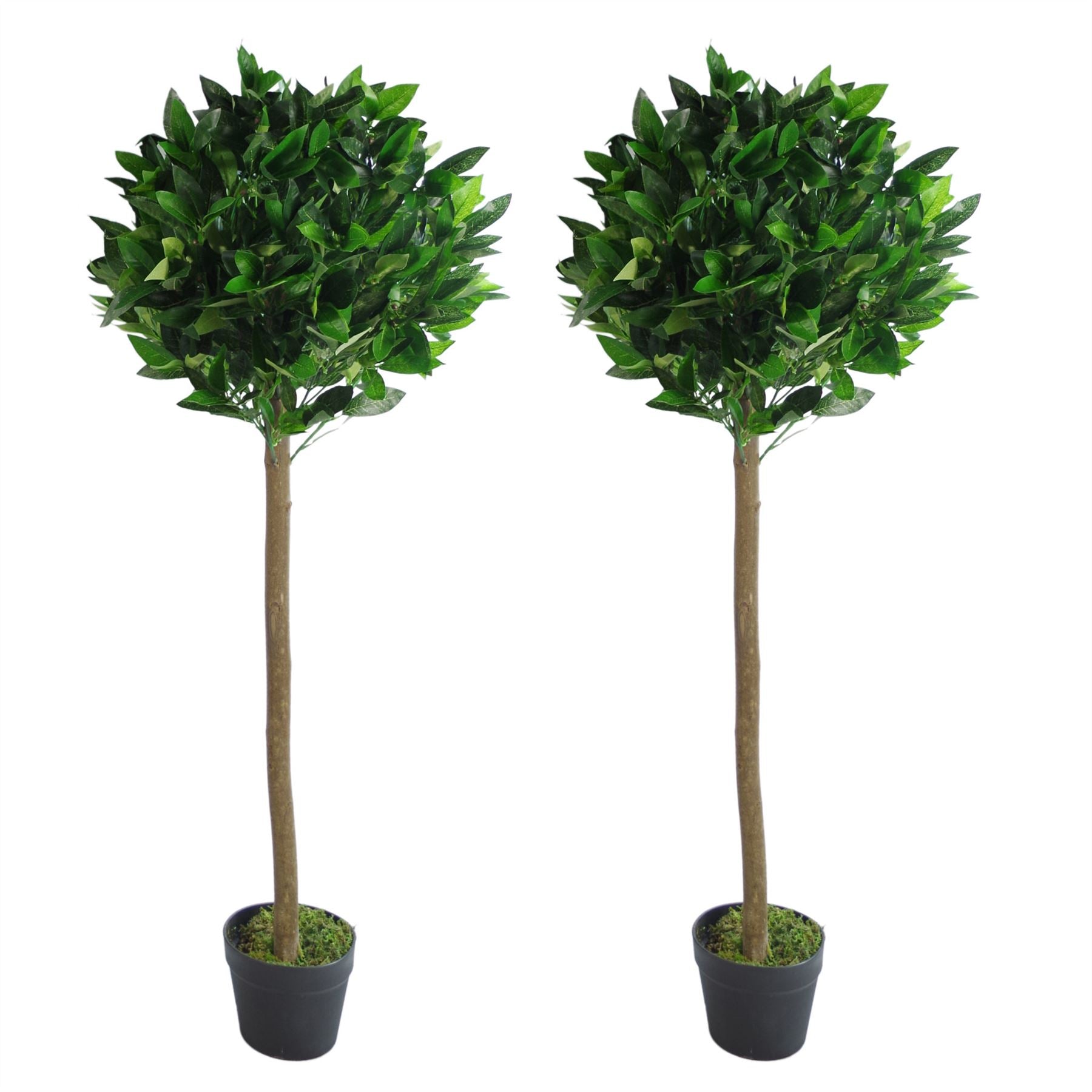 Pair of 120cm Artificial Bay Laurel Topiary Ball Trees, Plain Stem, Pair of Matching Trees