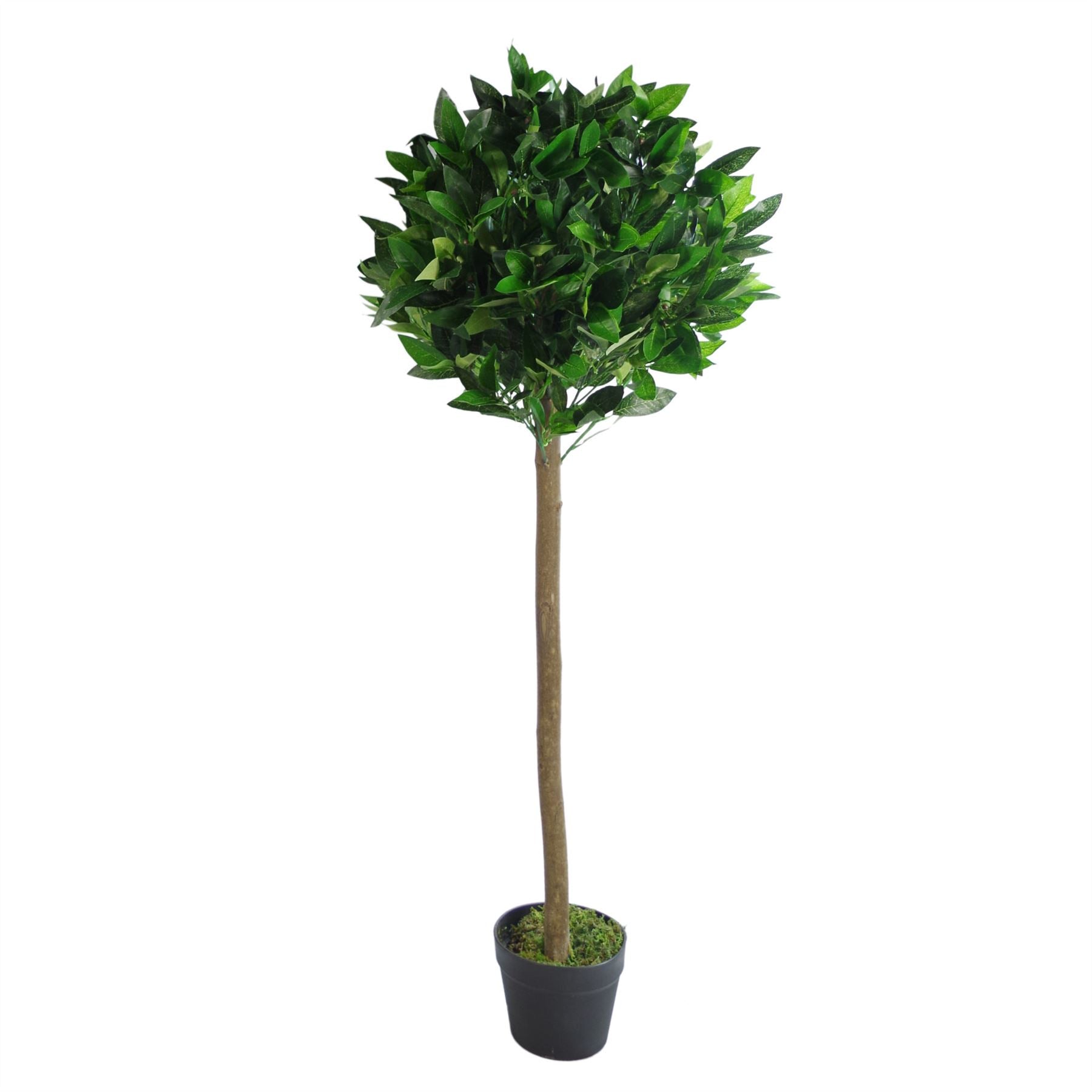 Pair of 120cm Artificial Bay Laurel Topiary Ball Trees, Plain Stem, Pair of Matching Trees