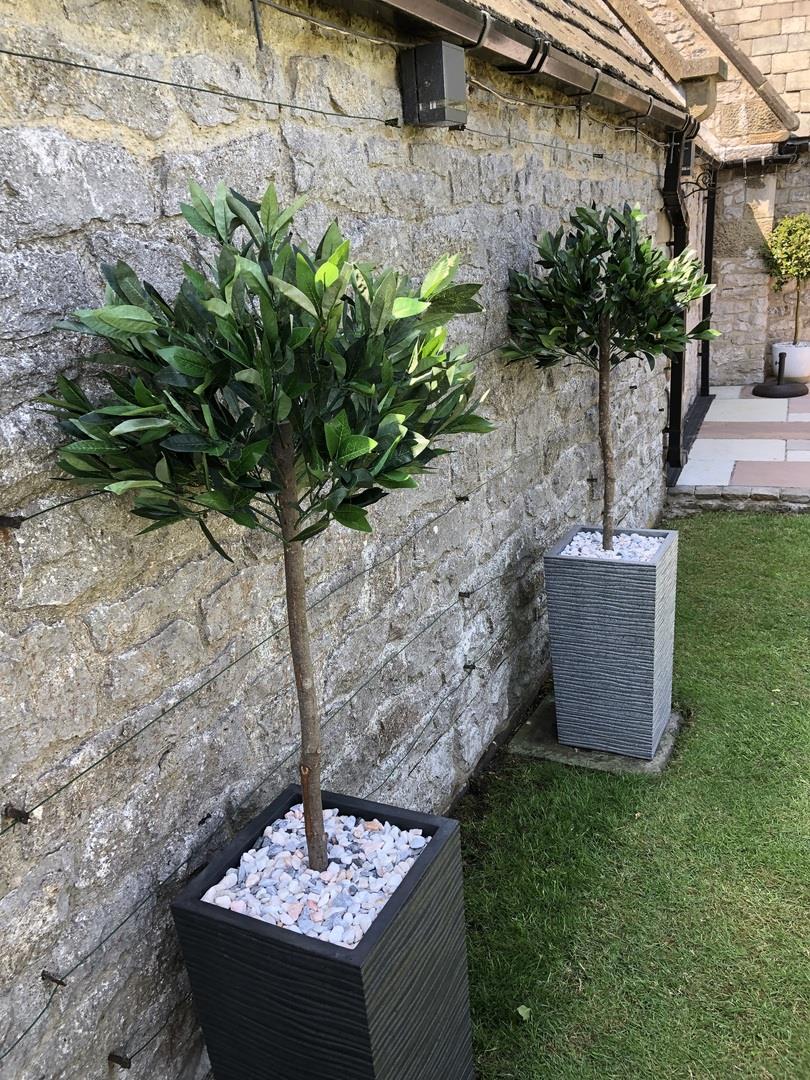 Pair of 120cm Artificial Bay Laurel Topiary Ball Trees, Plain Stem, Pair of Matching Trees