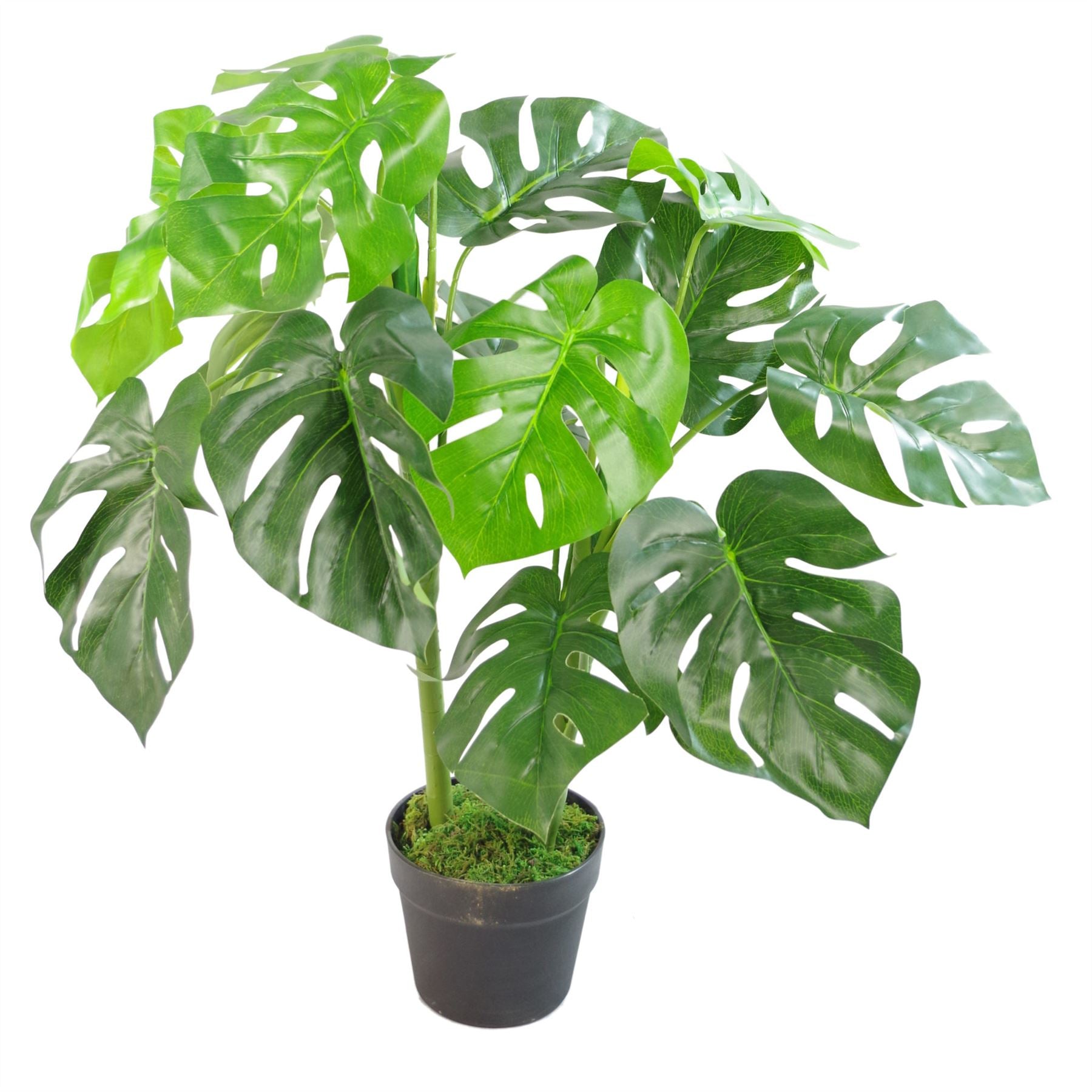 Leaf Artificial Monstera Plant 80cm - Ready Potted with Moss Covered Pot