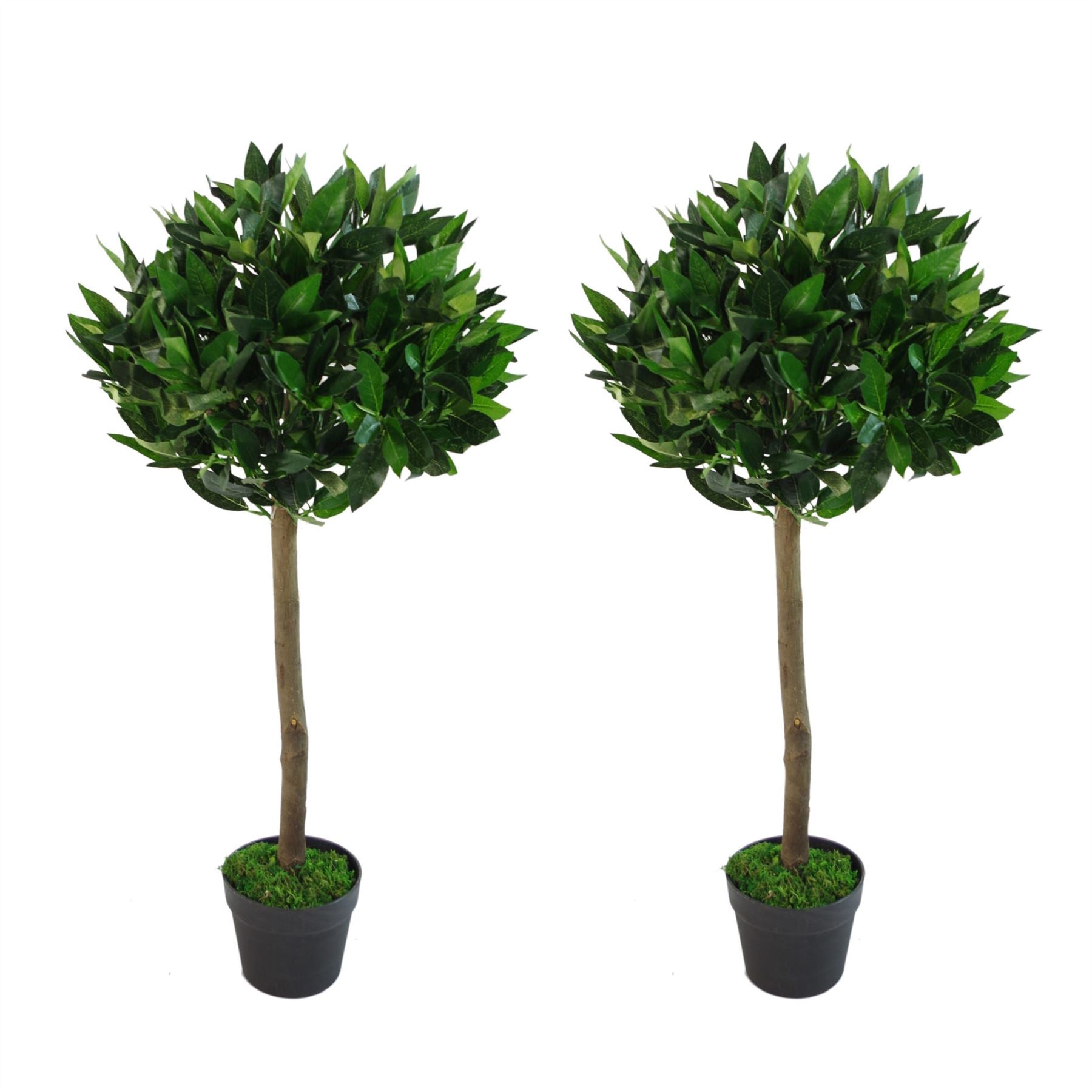 Leaf Pair of 90cm Artificial Plain Stem Bay Laurel Ball Trees