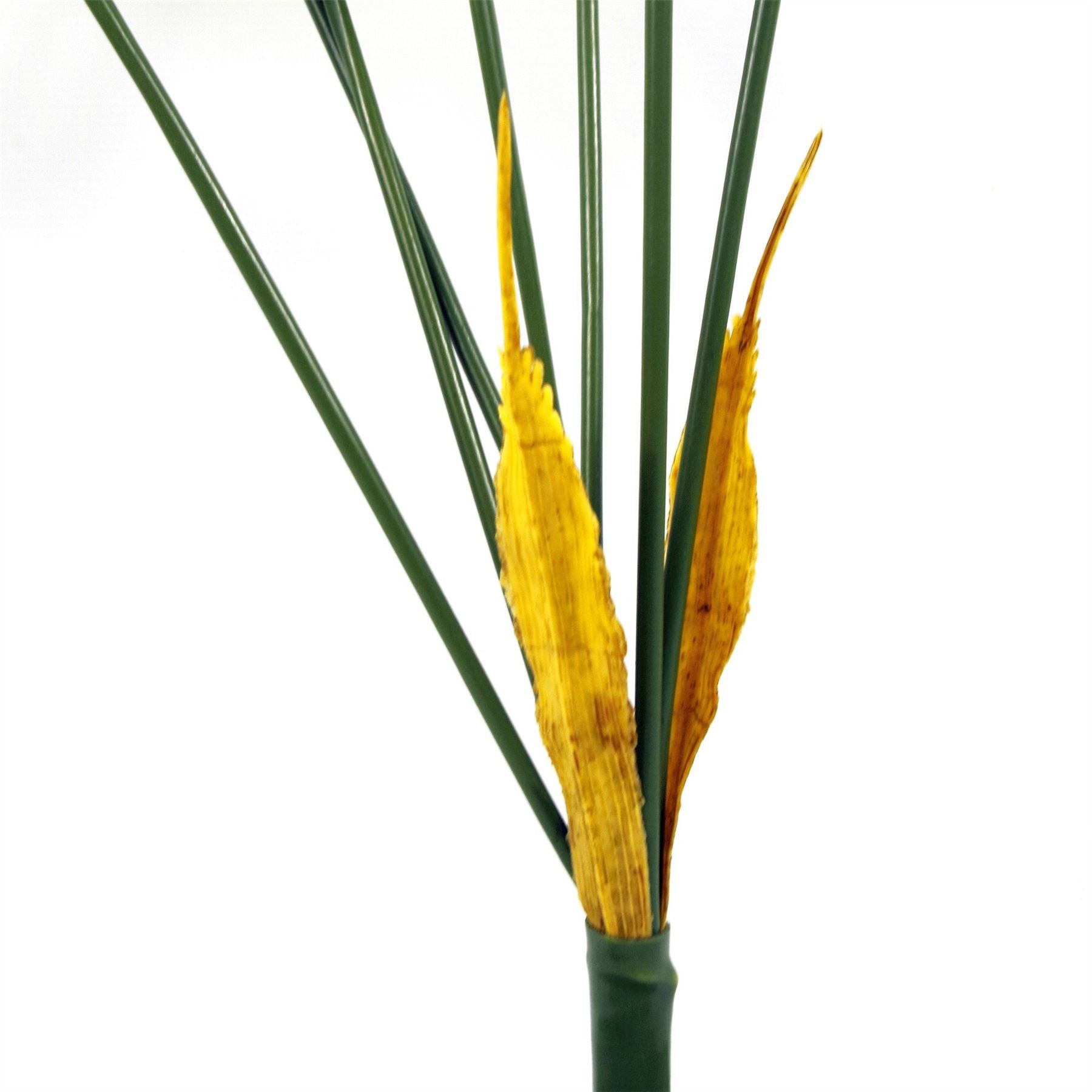 Leaf 75cm Artificial Palm Tree, Unpotted, 6 Leaves