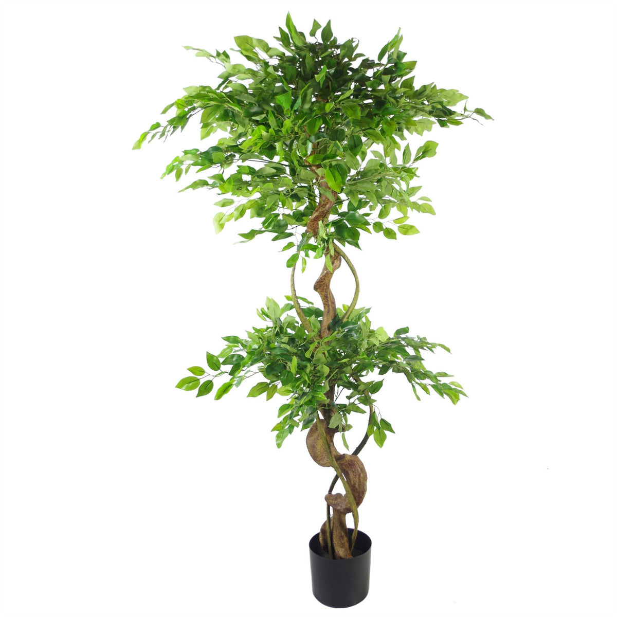 Leaf 150cm Artificial Twisted Trunk Japanese Fruticosa Ficus Tree with Metal Planter