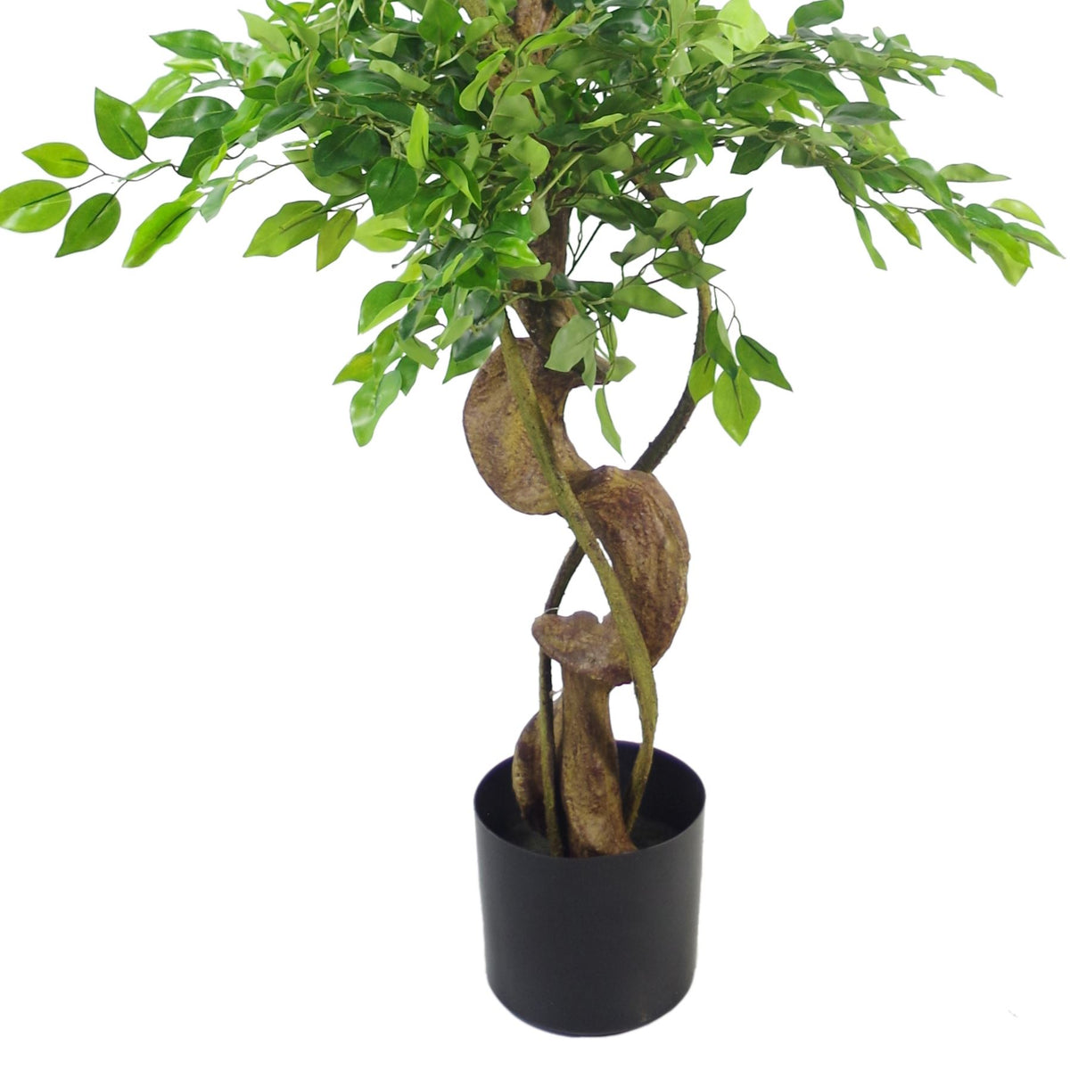 Leaf 150cm Artificial Twisted Trunk Japanese Fruticosa Ficus Tree with Metal Planter