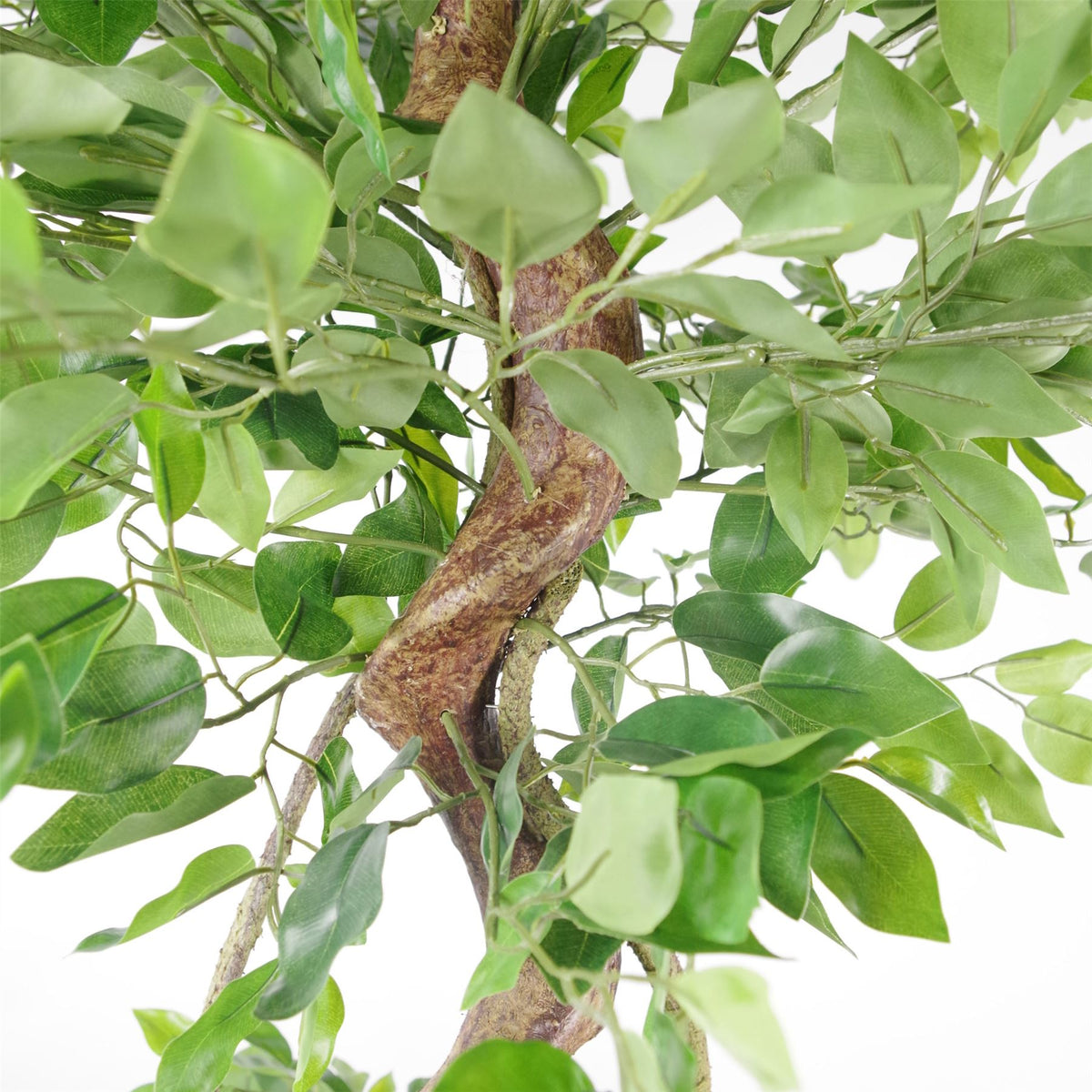 Leaf 150cm Artificial Twisted Trunk Japanese Fruticosa Ficus Tree with Metal Planter