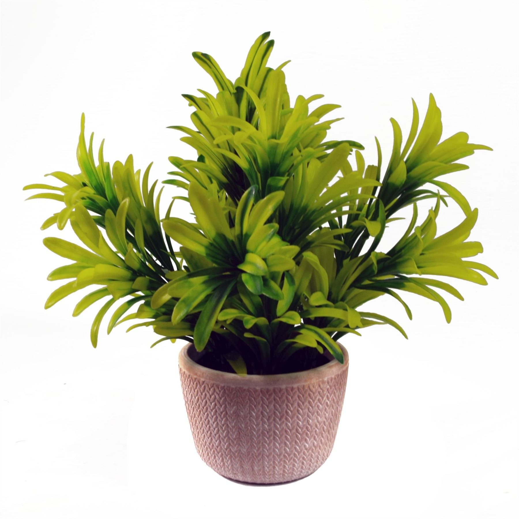 Leaf Realistic 22cm Light Green Honey Plant in Terracotta Pot