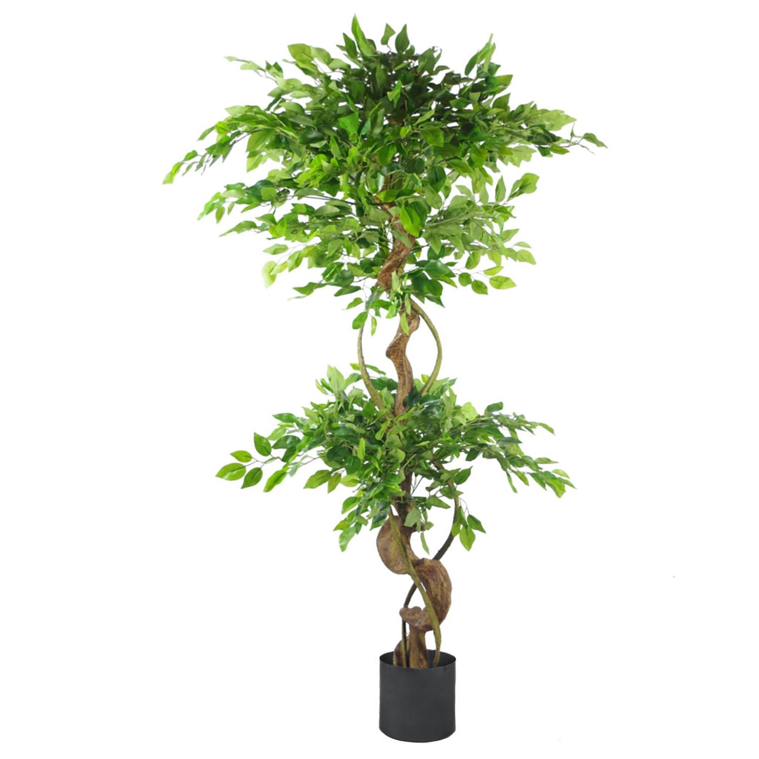 150cm Artificial Twisted Trunk Japanese Fruticosa Ficus Tree with Black Metal Planter