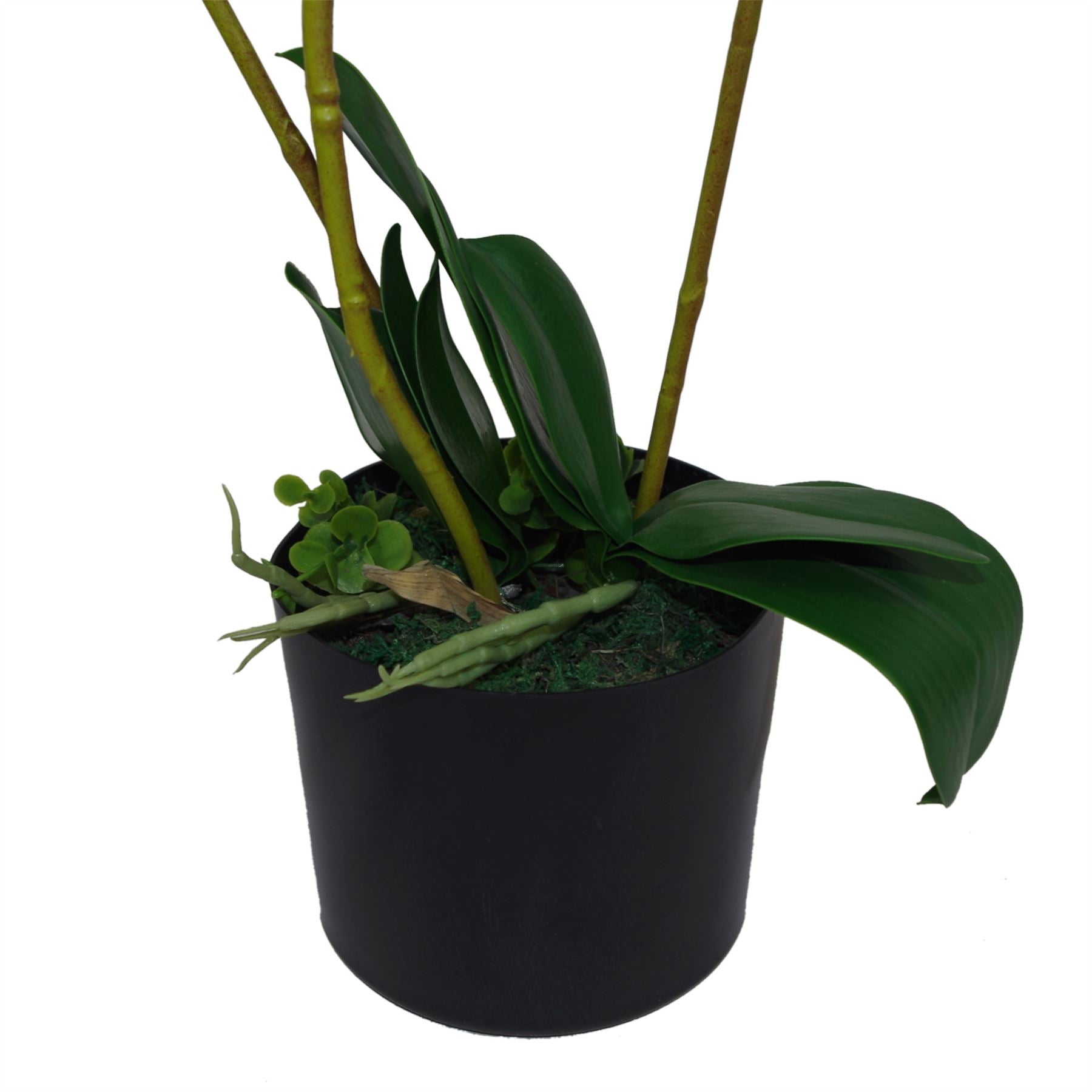 Leaf 65cm Artificial Soft White Phalaenopsis Orchid, 3 Stems, Potted Indoor Plant