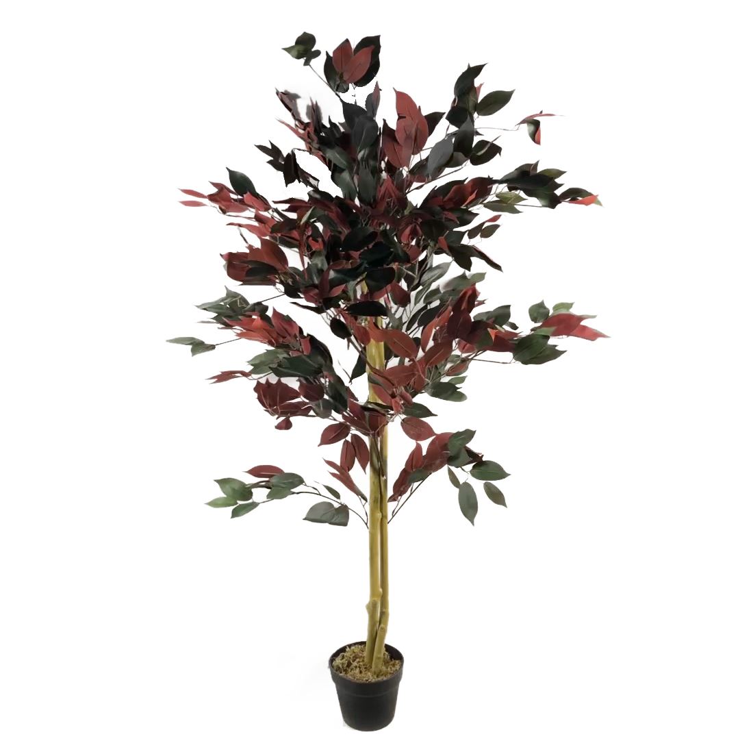 Leaf 120cm (4ft) Artificial Dark Red and Green Capensia Tree, Extra Large, Real Wood Trunk, Weighted Pot